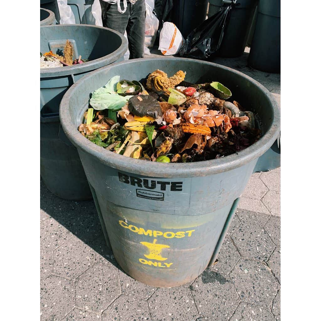 金原杏奈さんのインスタグラム写真 - (金原杏奈Instagram)「I started composting ♻️🐛🌎 ・ 〻今年から始めたこと〻 ニューヨークのアパートじゃ無理と 思っていたけど、近所のグリーンマーケットで 生ゴミを回収してくれると知って、 今年の初めからコンポストを始めました！ スタッシャーに入れて普段は冷凍保存。 野菜の切り方が変わってゴミを なるべく出さないようになったり 地球への意識が変わりました🤲🏻 ・ #zerowaste #ecology #compost  #ゼロウェイスト #ゴミ削減」11月15日 0時49分 - annakanehara