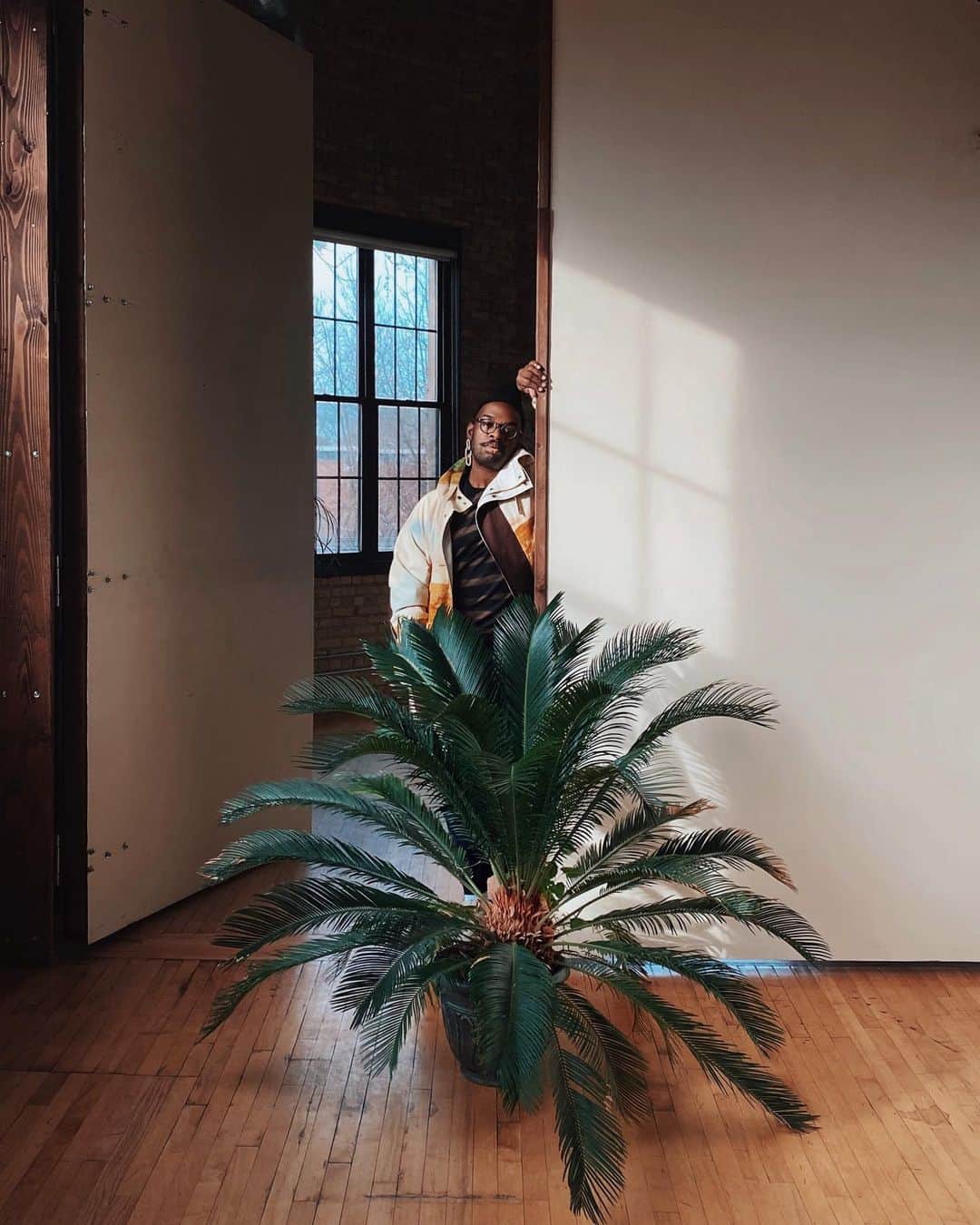 Paul Octaviousのインスタグラム：「Studio Update 🌵 Slowly but surely moving in. Discovering that the light from the south facing windows is beautiful.   A shelter had a green house and they were converting it bed space for winter. They needed new homes for the plants and had a fire sale of most of the the greens. What I discovered was the most cared for plants I’ve ever seen in this city. The plant caretakers have been working on them for years and I assured them I’ll take good care and they can come anytime. Now my minds trying to figure out how can I open a greenhouse in the city for more people 🤔🌱  Anyways, this is a Sago Palm. I’ve only personally seen one in the south or the @gpconservatory. Researching how to keep her happy and lush!   Anyone have luck growing these giants?  I think she’ll like it here :) Photo by Dad」