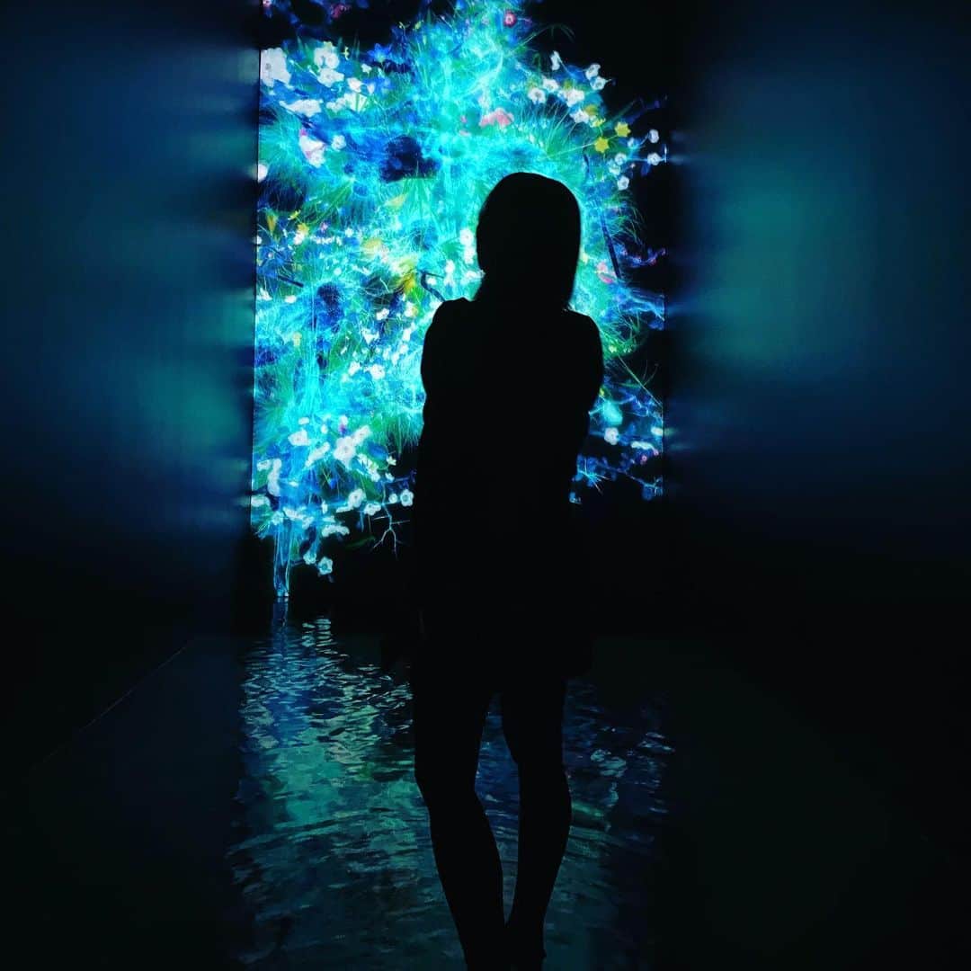 hina2221のインスタグラム：「アート💙 @teamlab.planets . . .  #チームラボプラネッツ #チームラボ豊洲 #pr #トリドリベース」