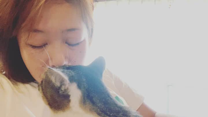 三谷晶子のインスタグラム：「今日のわが家のミル氏の帰宅したわたしのお出迎えの儀。  Today's  cats.  #加計呂麻島　 #kakeromaisland  #猫　 #ねこ #ネコ #ねこすたぐらむ  #cat  #catsofinstagram  #catstagram  #catlife  #catlover  #cats  #catlovers  #cats_of_instagram  #catphoto  #catmovie  #japanesecat  #japanesecats  #japanesegirl  #japan_of_insta  #japanese  #japan  #islandlife  #islandgirl  #island  #islandcat  #islandcats」
