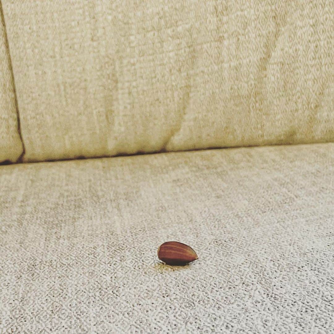 のインスタグラム：「ソファの隙間からどんぐりが出てきた。「あ！」と驚いた僕を見て犯人（２歳児）が「どんぐりコロコロどんぐりこー」と歌い出す休日。  きっと世界中のソファのすきまには、信じられないようなものたちが埋まってるんだろうな。そういう展覧会に行きたい。」