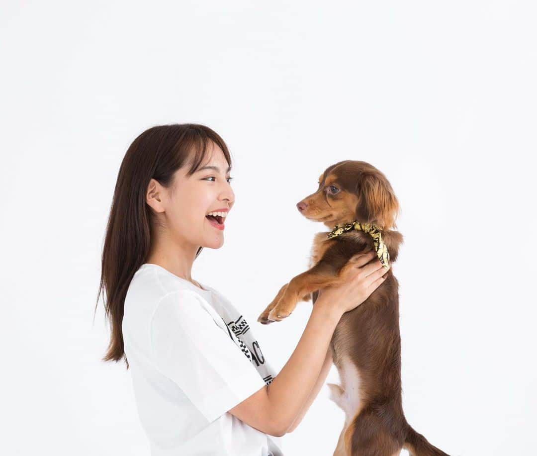 山口厚子さんのインスタグラム写真 - (山口厚子Instagram)「愛犬パナくん1歳の誕生日に写真撮りました。 . . この一年は1番成長が見られて、体型は特にだけど、トイレがちゃんとシートの上でできるようになったり、マテもおすわりもお手、おかわりも、パナの好きな人の名前言ったらくるくる回ったり、私が泣いたふりや倒れたふりしたらすぐ駆け寄ってくれたり。かくれんぼや宝探し、鬼ごっこやボール遊びもできたり。 . . 犬の成長に日々驚くことばかり。 . これからもよく寝てよく食べてよく遊んでパナちゃんにとって最高の人生(犬生)になるようにたっくさんの愛情を注いでいくね。  #犬のいる暮らし #dog #doglife #dogphotography #チョコタン #チワックス　#ハーフ犬　#chihuachs #dogstagram」11月14日 16時27分 - atu_yaman