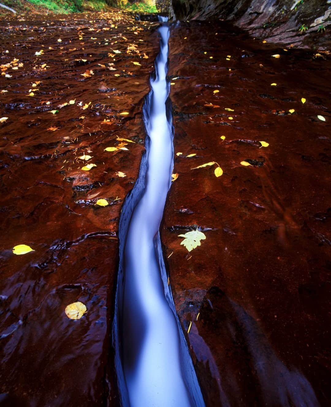 のインスタグラム：「Photo by Keith Ladzinski @ladzinski / A stream of white water flows through a perfect stripe of erosion in Utah's Zion National Park. This unique feature is called the Ribbon, which is visible in the fall when water levels are low.」