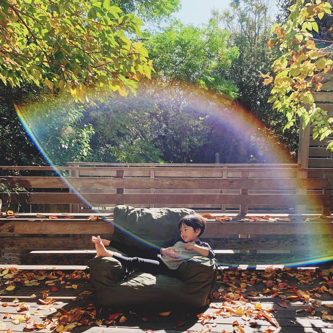 のインスタグラム：「自分でイスを出し 居心地のいい場所を見つけたようです。 我が家も紅葉がはじまりました🍁 #暮らし」