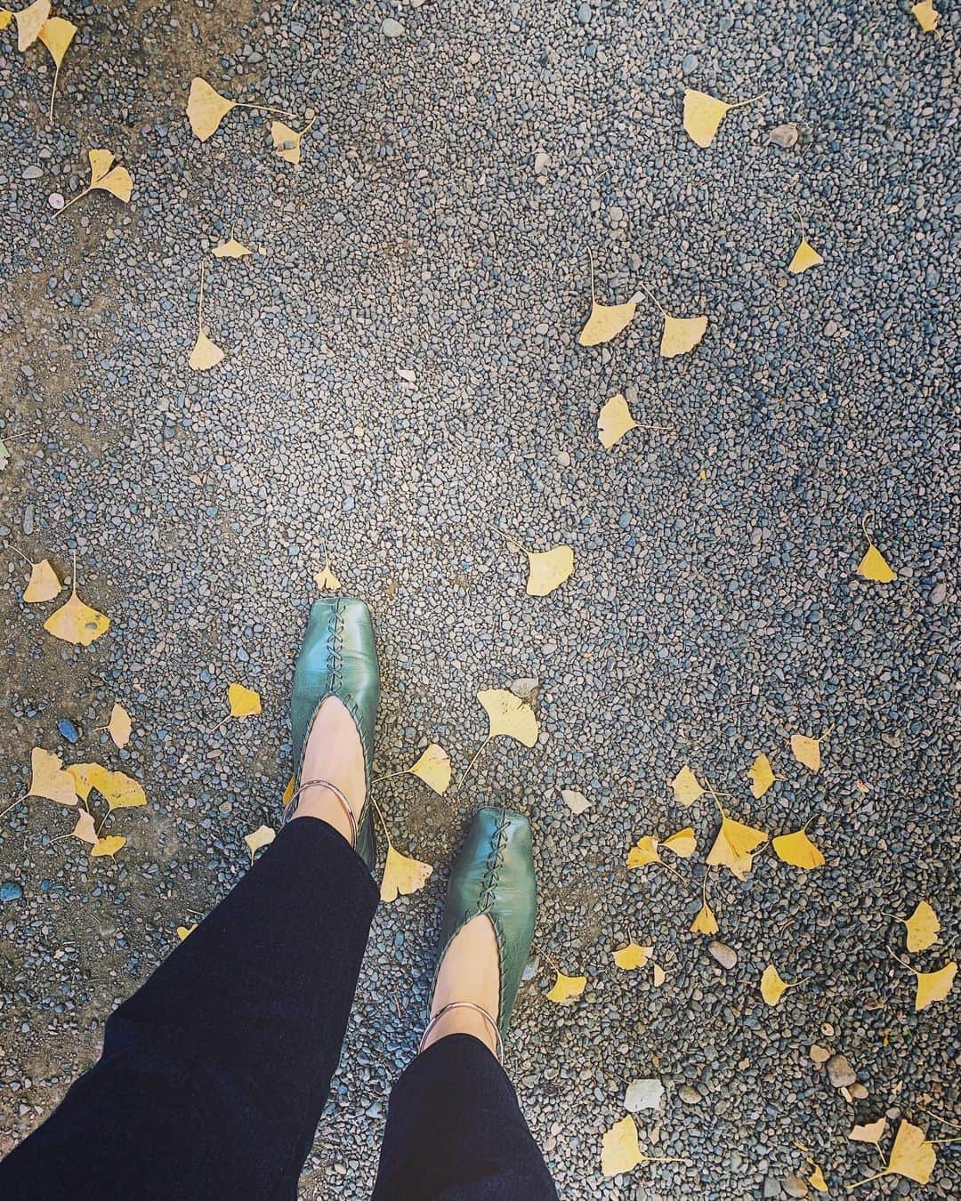 のインスタグラム：「_  ほとんど靴擦れもせず いい感じに馴染んできた🌿  #jilsander #pumps」