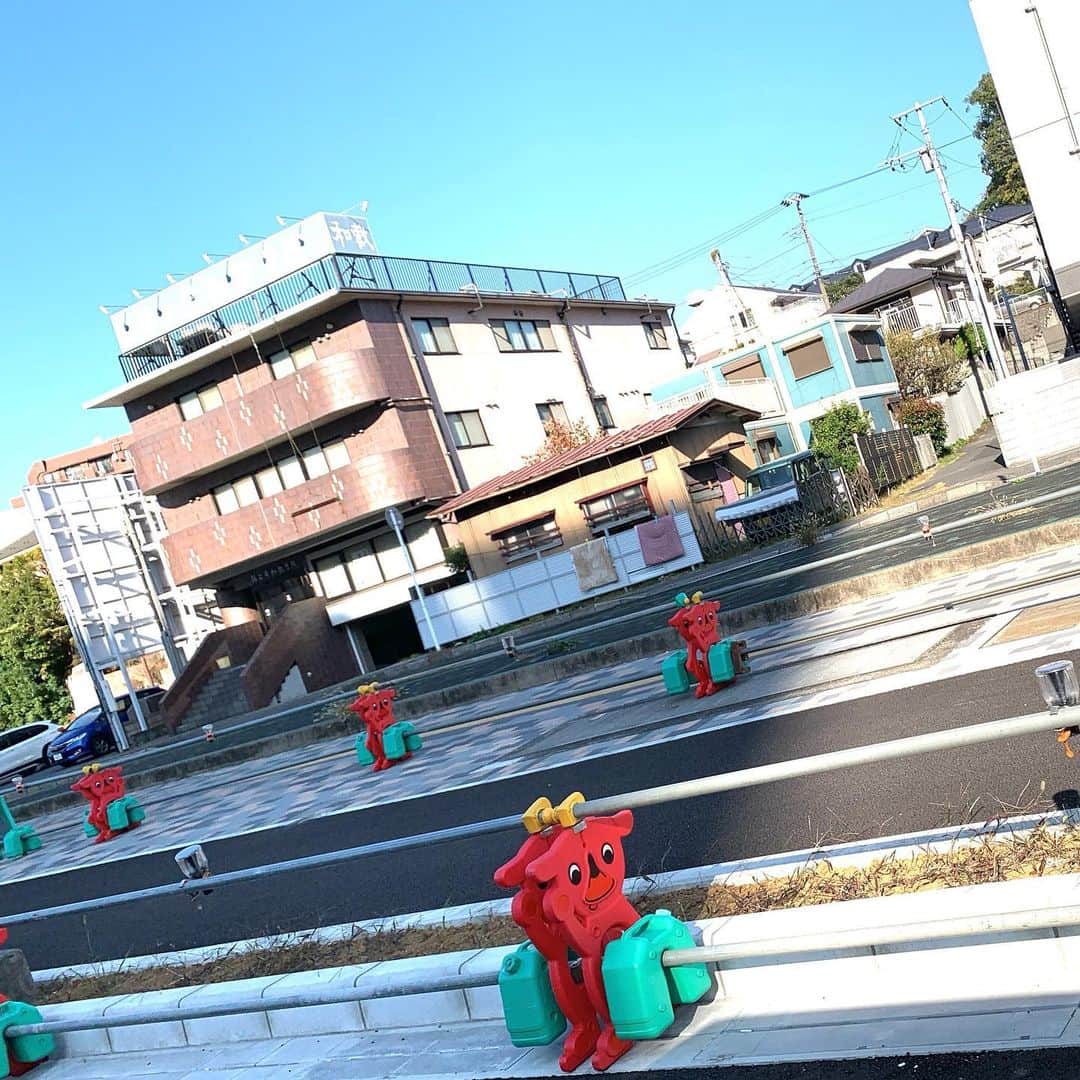 菊池桃子さんのインスタグラム写真 - (菊池桃子Instagram)「*  仕事で千葉県に行きました。 車窓から🚗外を見たら、  千葉県のマスコットキャラクターの、 「チーバくん」が沢山！！  可愛らしい！  #チーバくん」11月14日 17時22分 - momoko_kikuchi_official