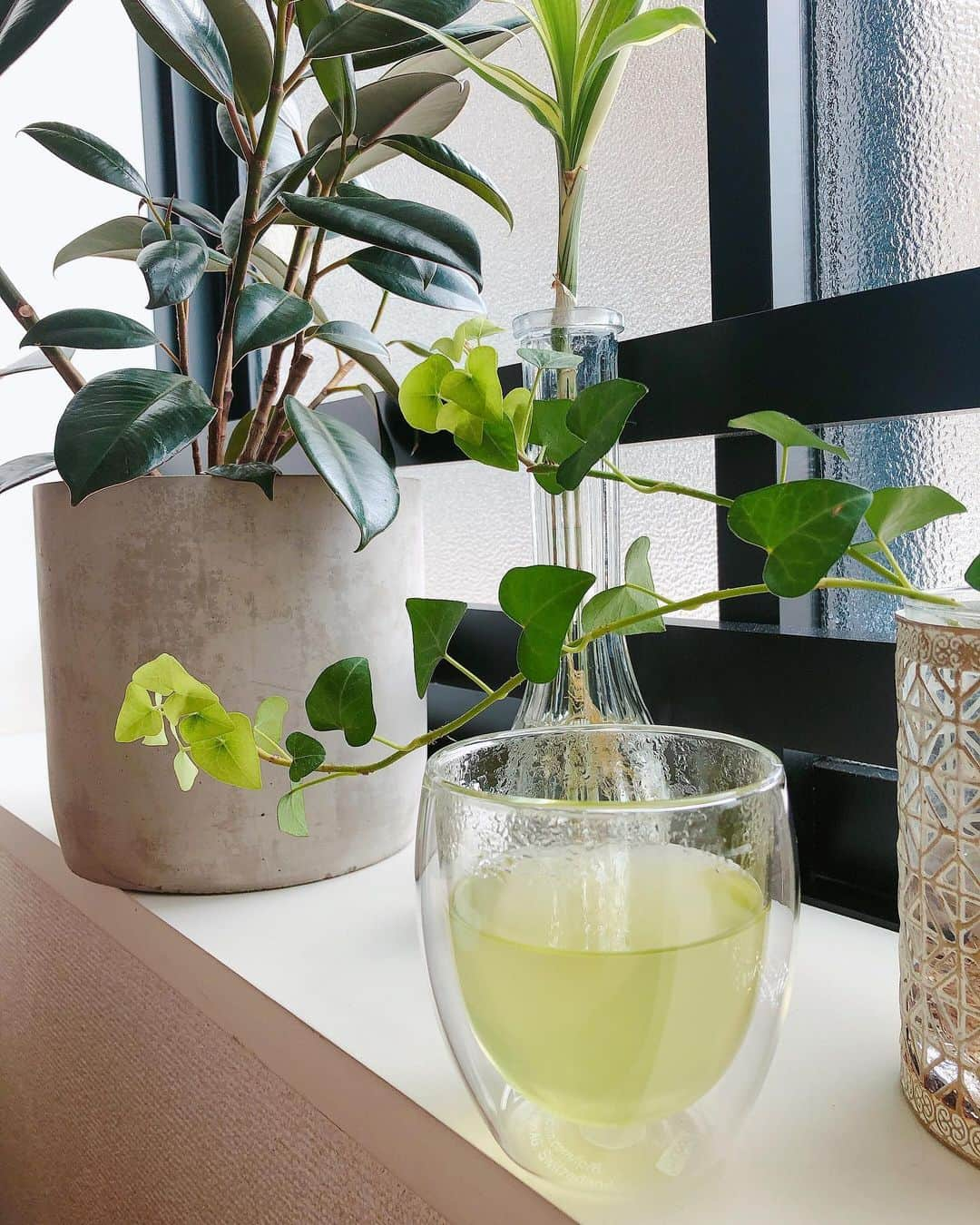 東美樹さんのインスタグラム写真 - (東美樹Instagram)「Green tea next to my green babies🪴🍵#greenthumb #mygoal  植物を育てるのがうまい人を英語では”green thumb”といいます。  ”何でも愛情を注げばその分育ってくれるの。結局は愛情なのよ。” by母。  枯れそうな植物や、動物、命あるものに命を更に吹き込むことのできる母は、まさに愛情のかたまり☺️ . “向き合って愛情を注ぐ” 植物だけでなく何にでも当てはまる気がする。🙂 . 私もgreen thumb目指してこのbabiesを育てるぞー✊🏼🌱 . #animism #animist #zentime #houseplants #greens #mindfulliving #positiverevolution #植物療法 #自然の恵み #アニミズム #サステナブル #エシカルライフ #なりたい自分 #生きてるって素晴らしい #東美樹 #animistmiki #mikihigashi」11月14日 17時23分 - mikko.36___