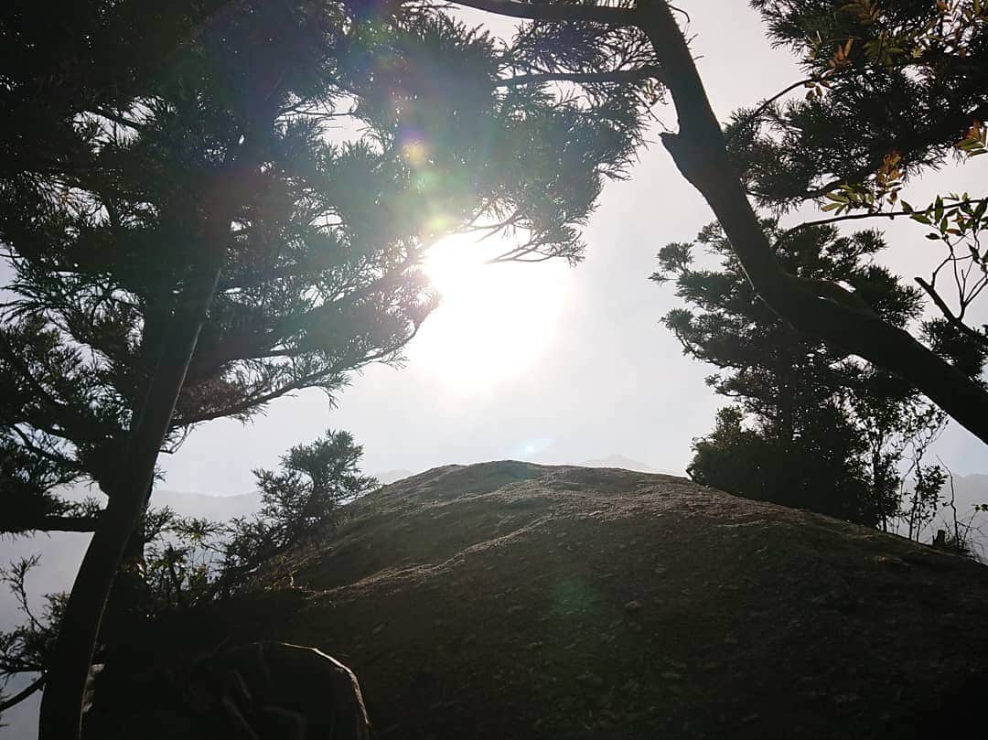 桜花さんのインスタグラム写真 - (桜花Instagram)「太古岩🍀🍀  たいこだけに、『大古』からの歴史を感じました🌷  #太古岩  #屋久島  #岩  #yakushima #rock  #岩  #いわ  #大自然 #nature」11月14日 17時35分 - mountainohka
