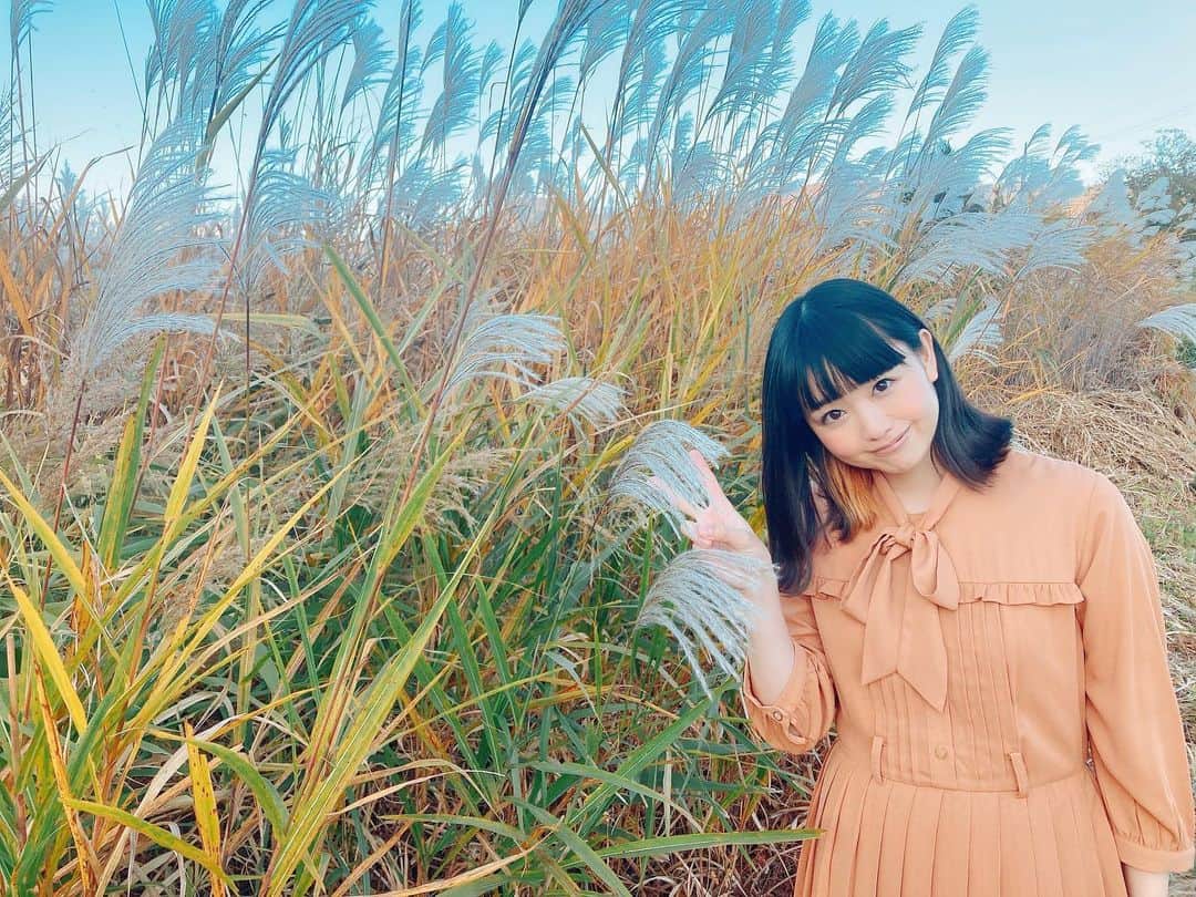 中村千尋さんのインスタグラム写真 - (中村千尋Instagram)「#秋🌾」11月14日 17時41分 - nanakanakamurachihiro
