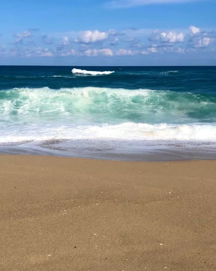 ユ・インスのインスタグラム：「가을과 겨울사이🌊 • • • #힐링」