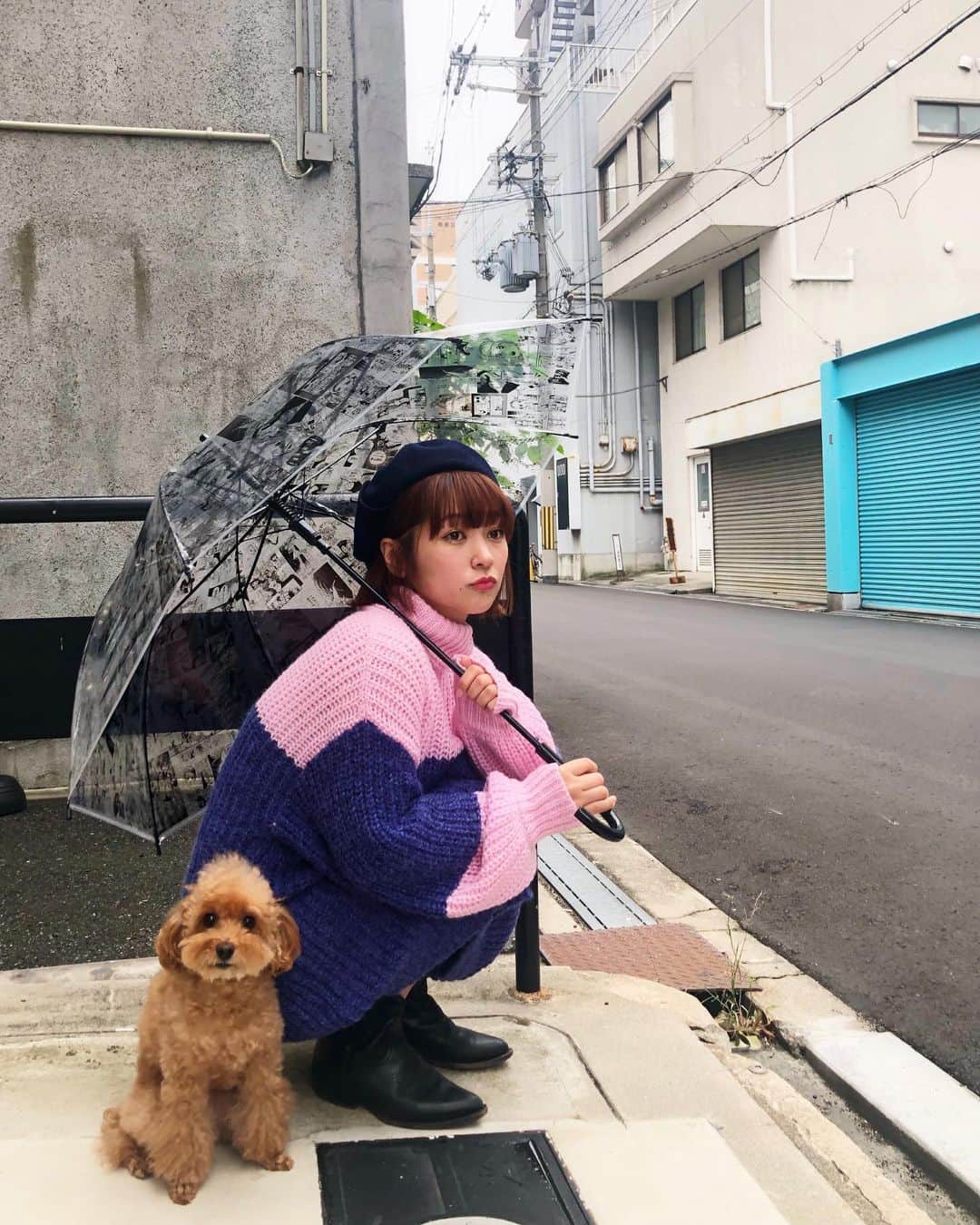 近藤夏子さんのインスタグラム写真 - (近藤夏子Instagram)「雨宿りな人と犬〜ほとんど雨降ってないけどね〜 お気に入りのニットワンピは瀬戸 @setoayumi のブランド @dear_sisterhood のんです💕 さすが瀬戸だよねぇ。可愛いのばっか作ってる😍 配色も着た時のシルエットも最高❣️ このニットワンピ、色迷いまくって、こっちの色届いて、、結果、よかった❤️笑 めーーーーっちゃお気に入りです🤤 もう一色のほうも欲しいレベル。 可愛いもん作る人、皆、感謝。 傘はご近所物語だよーーーん💝ぐっへへ アンはいつどこでもどんなときでも可愛いよ💓 #ニットワンピ #ニット #ワンピ #ワンピースコーデ #dearsisterhood  #矢沢あい 様　#ご近所物語 #スリーコインズ #愛犬 #トイプードル #アンちゃま #傘は写真撮るだけ撮ってすぐしまって保管してます #次いつ使うかな #もったいなくて使えない」11月14日 17時55分 - kondonatsuko