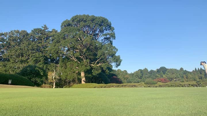桒原えりかのグルメインスタ