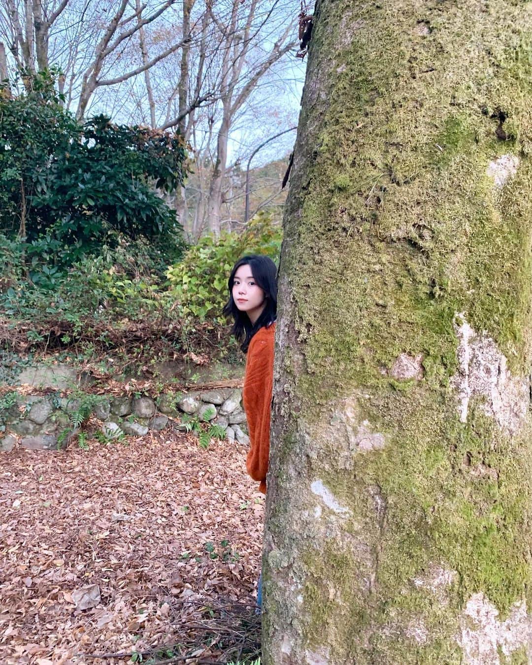 葉山柚子さんのインスタグラム写真 - (葉山柚子Instagram)「またまた来てます🌿🍁 #奥多摩」11月14日 18時09分 - hayama_yuko