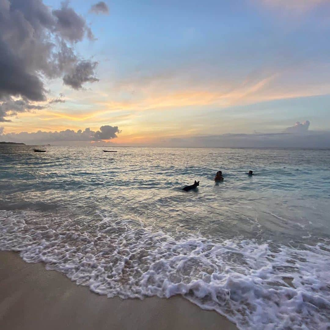 ベックスロックスさんのインスタグラム写真 - (ベックスロックスInstagram)「Heaven on earth 💖 🧜‍♀️🌎 ⠀⠀⠀⠀⠀⠀⠀⠀⠀ “Cherish the natural world, because you’re a part of it and depend on it.” David Attenborough  ⠀⠀⠀⠀⠀⠀⠀⠀⠀ ⠀⠀⠀⠀⠀⠀⠀⠀⠀ #travelwithapurpose  #iloveindonesia #thankyoumothernature #heavenonearth  ⠀⠀⠀⠀⠀⠀⠀⠀⠀」11月14日 18時12分 - rcollectivestudio