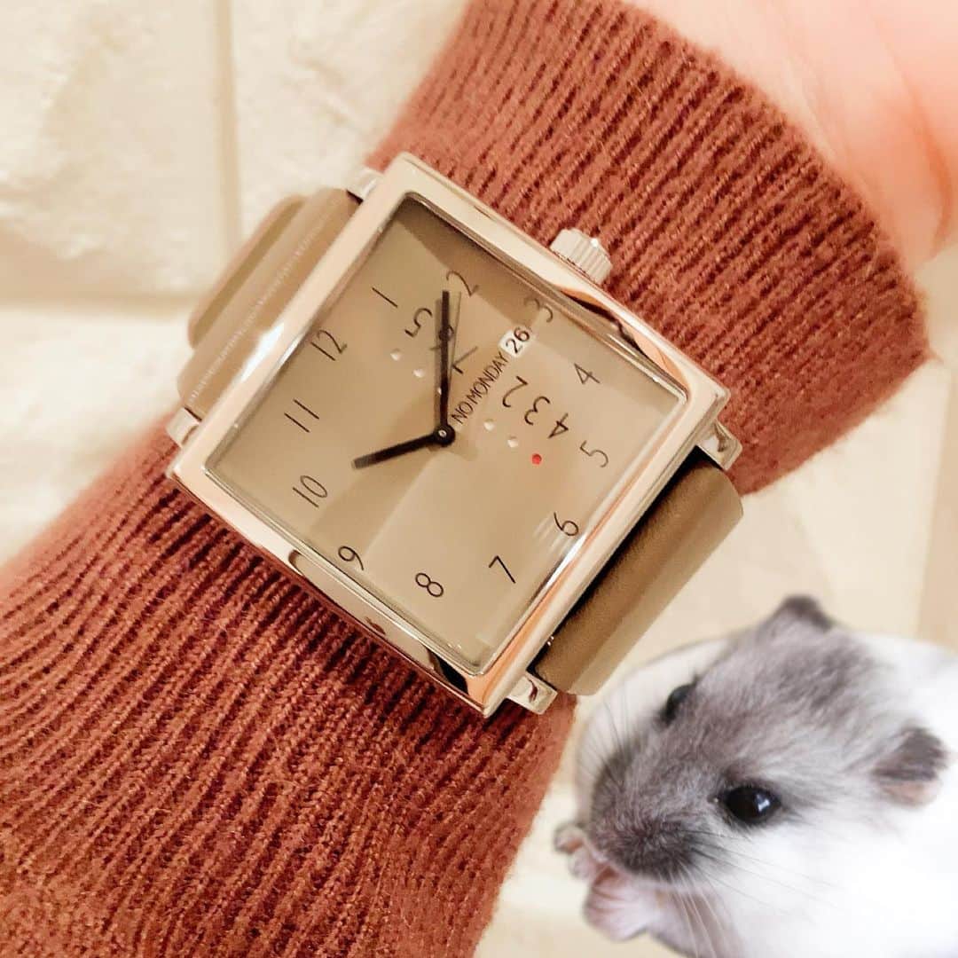 hamster_mocoのインスタグラム