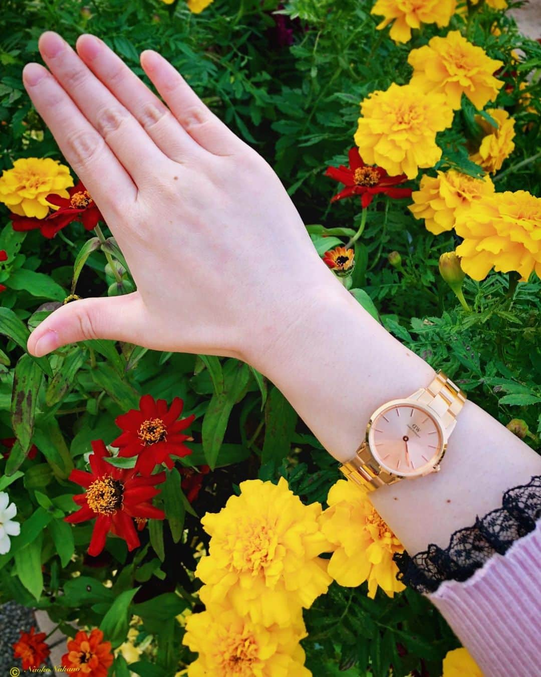 中野菜保子さんのインスタグラム写真 - (中野菜保子Instagram)「. 「職人に敬意を払う⌚️🌹✨」 @danielwellington . 写真は🍎🍎🍎🍎🍎🍎🍎🍎🍎🍎枚 2:おそろ 3:耳元のアクセントに 4:たまには外 5:スタバカップも美に微笑む 7:中野の手 9:ホントキレイ . . ご機嫌いかがですか？（≧∇≦）？ . 毎日更新😌 . . リフレッシュの為(笑) お花を見て 少し話して スタバの新作を飲む✨🥤✨ . . ジブンじゃないと 出来ない仕事を してきた者の苦悶 . そういうものを乗り越えて 物創りをし、 演技を続けるキモチ . そんな決意を改めてした 今日この頃 いかがお過ごしですかと いうことで😛 . 嬉しいオファーが頂けたので 効率よく段取りしておこうと 思っています🧐❗️❗️ . . 手元は ダニエルウェリントンの✨⌚️✨ (@danielwellington) 新作 Iconic Link Unitoneです💐 . オンライン限定☆ . . 11/12から Daniel Wellingtonスペシャルキャンペーン が始まったそうです！！ 公式サイトwww.danielwellington.com/jp やDW直営店舗にて 25,000 円（税込）以上購入で 25％OFFになります🤩おー . ＊15％OFFクーポンコードも併用可能 → ★全品使用可15％OFFクーポンコード【naoko8319】 . . 中野の⌚️は ローズゴールド一色(ユニトーン)の タイムピース。 . . ダニエルウェリントンじゃないと 出せない高級感と品の良さが 際立ってます . ローズゴールドのピアスも ダニエルウェリントンの文字が いい仕事してる🌹🥇🌹🥇 . 色は3色展開です💐 (ゴールド・シルバー・ローズゴールド) . ピンクのセーターに ブラックのリボン、 そこへダニエルウェリントンの Unitoneで シックさパーフェクト💯と、思う☺️ . 時計ひとつで 印象も変わりますよね。 . 少しの表現で 印象が変わるのと同じ。 敬意を払わないと。 ＊ ＊ ＊ #ダニエルウェリントン #DWユニトーン #danielwellington #unitone #一色 #職人技 #クリエーター #ローズゴールドアクセサリー  #中野菜保子 #ナオ部 #俳優 #actor #moviestars #singergirls #model #花の似合う女 #時計収集家 #使う派 #タイムレス #職人としての誇り #ライター #レポーター #シックな暮らし  #見守る #ムダなく #効果をあげる @danielwellington @syanhaijitensya」11月14日 18時16分 - naokonakano8319