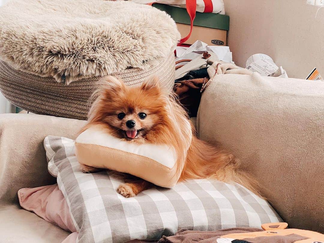 r_oseのインスタグラム：「🧸🍞〰️」