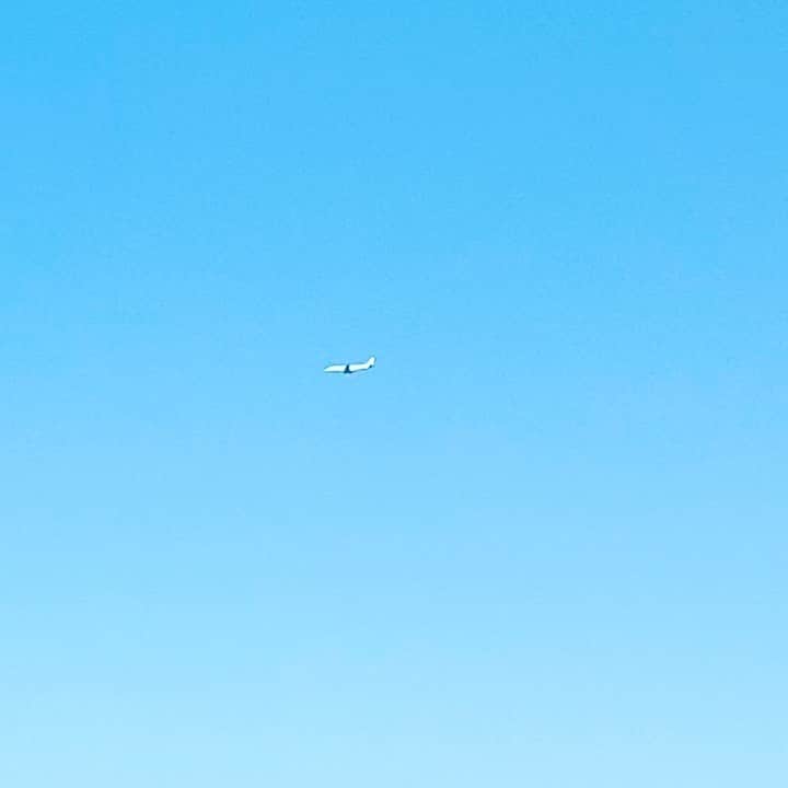 のインスタグラム：「飛行機と大阪城  雲一つない空に #飛行機 と #大阪城   快晴  気持ちいいです😊‼️  今日もNHK『おちょやん』撮影でございます。  #吉本新喜劇   #西川忠志   #感謝」