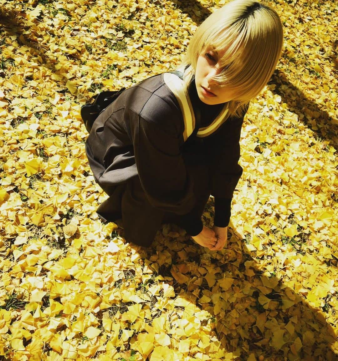 吉田有里さんのインスタグラム写真 - (吉田有里Instagram)「🍂🍂🍂 #銀杏 #紅葉 #秋 #autumn」11月14日 19時11分 - yu_ri_ysd