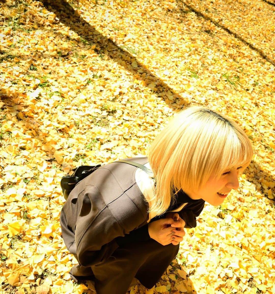吉田有里さんのインスタグラム写真 - (吉田有里Instagram)「🍂🍂🍂 #銀杏 #紅葉 #秋 #autumn」11月14日 19時11分 - yu_ri_ysd