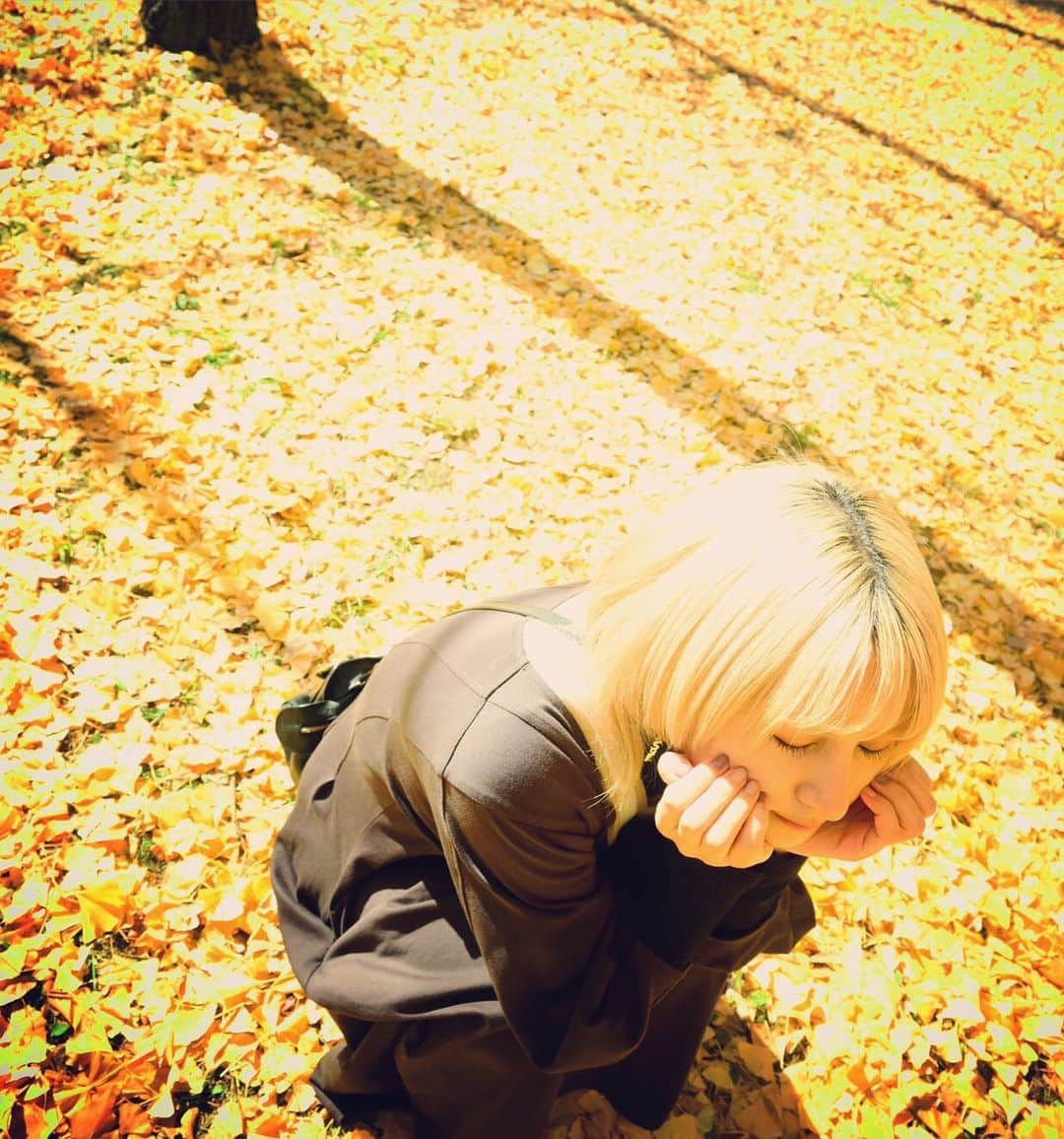 吉田有里のインスタグラム：「🍂🍂🍂 #銀杏 #紅葉 #秋 #autumn」