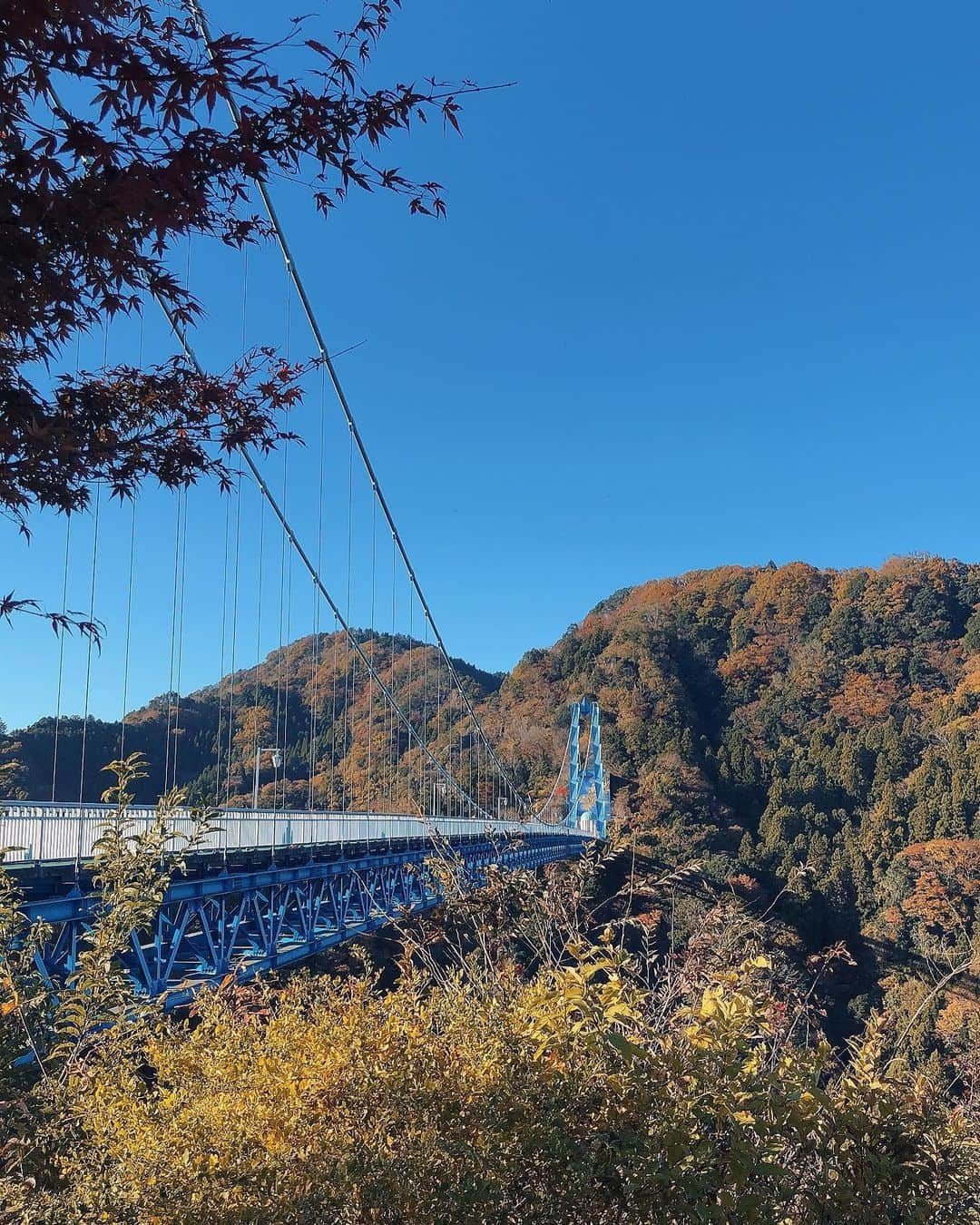 木下綾菜さんのインスタグラム写真 - (木下綾菜Instagram)「念願の紅葉巡りしてきました🍁 今年最後の お出かけかな🚕💭 . 袋田の滝、花貫渓谷、 竜神大吊橋と回ったよう。 紅葉いい感じだったよ〜 . ずっと自然いっぱいな所に 行きたかったので満足☺️ . #袋田の滝  #花貫渓谷 #竜神大吊橋 #観光 #茨城観光 #紅葉」11月14日 19時04分 - kinoshita_ayana