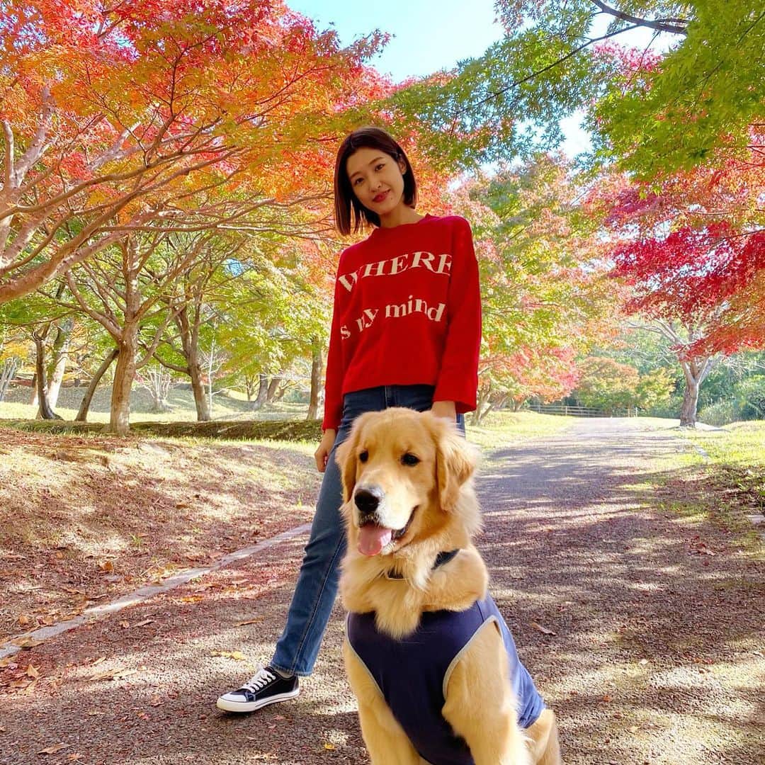 今田美奈さんのインスタグラム写真 - (今田美奈Instagram)「お天気良くて気分のいいひ☺︎꙳」11月14日 19時53分 - _minaimd.j_