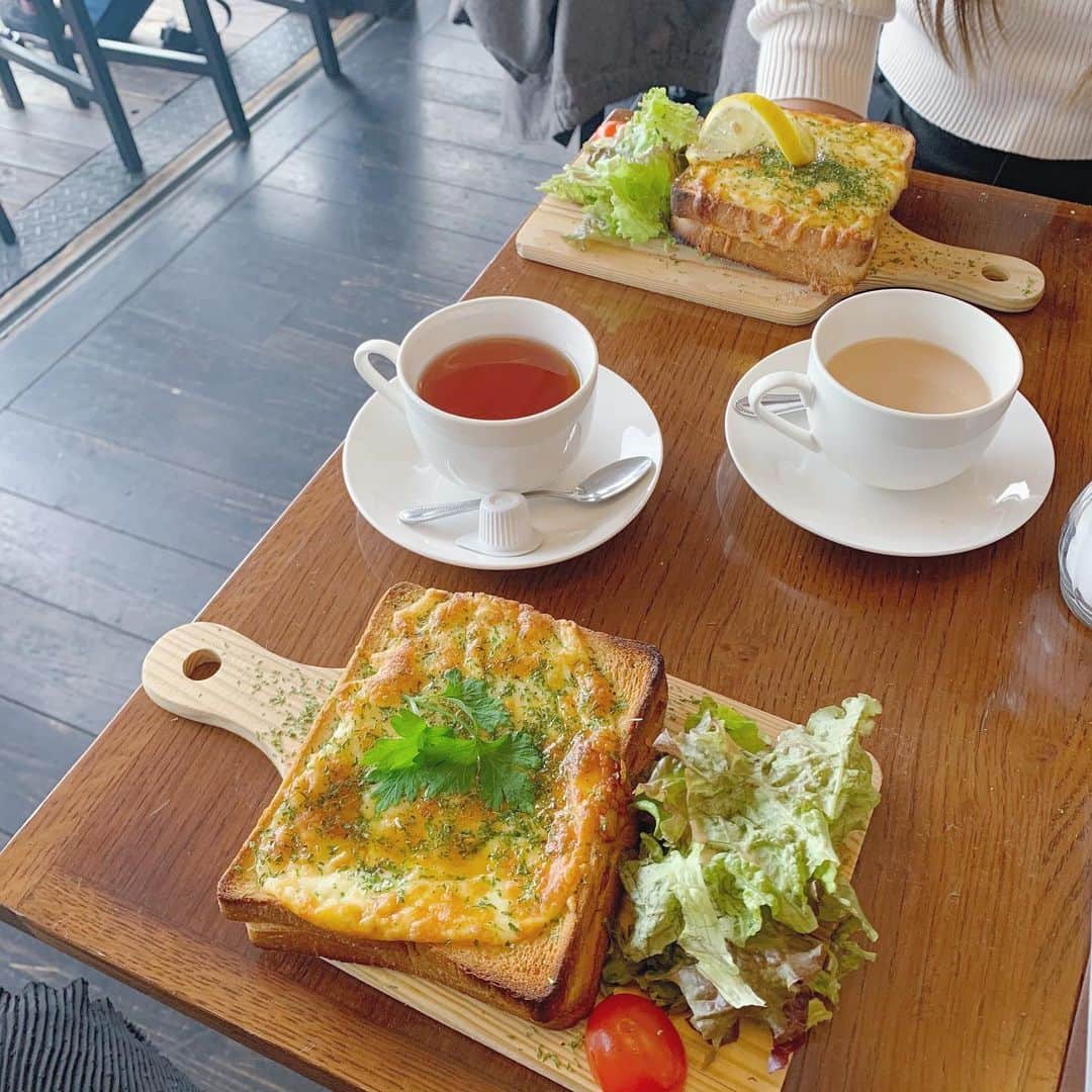 AKARIのインスタグラム：「#kawacafe  鴨川沿いあるカフェ🕊 猫ちゃんと割と大きい鳥がいてびっくりした🤭笑」