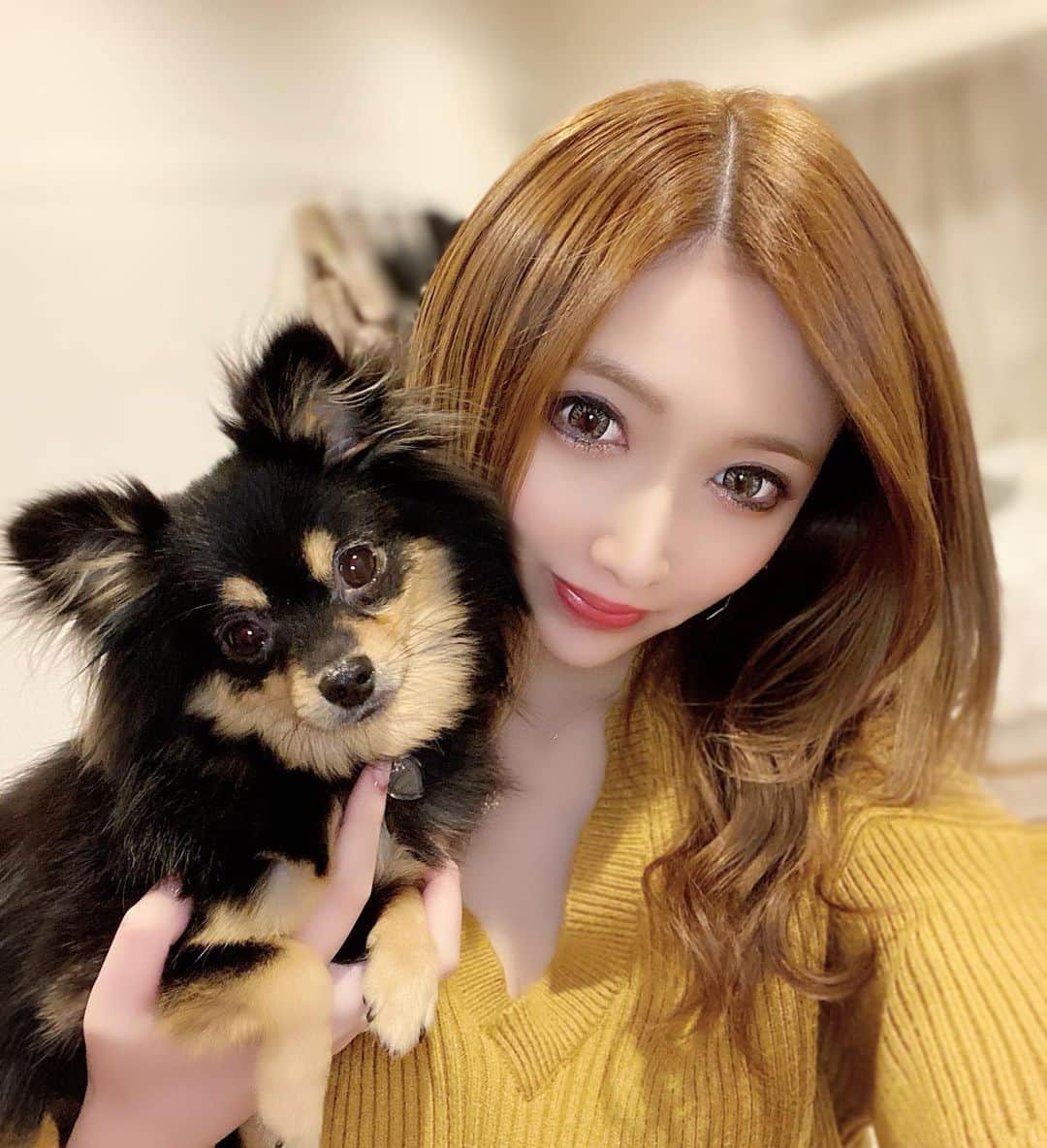 JURIのインスタグラム：「・ 愛犬の たぬちゃん🐶🐾💛 今月一歳をむかえる😽💓  休日はできるだけ一緒にいたい🤤  #愛犬#娘#溺愛#チワポメ #溺愛犬#家族#一歳 #六本木#東京#ホステス #おうち時間#いぬのいる暮らし」