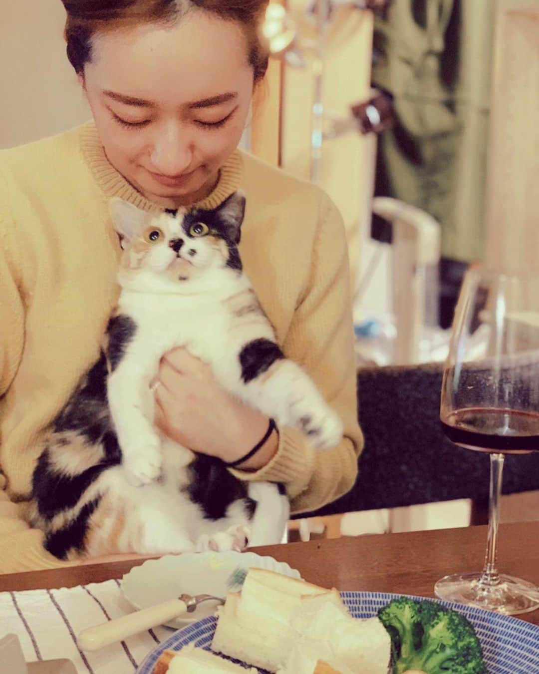 倉田茉美さんのインスタグラム写真 - (倉田茉美Instagram)「何も言わないしあわせ。＊  #姉の猫」11月15日 1時32分 - sena_sayu122