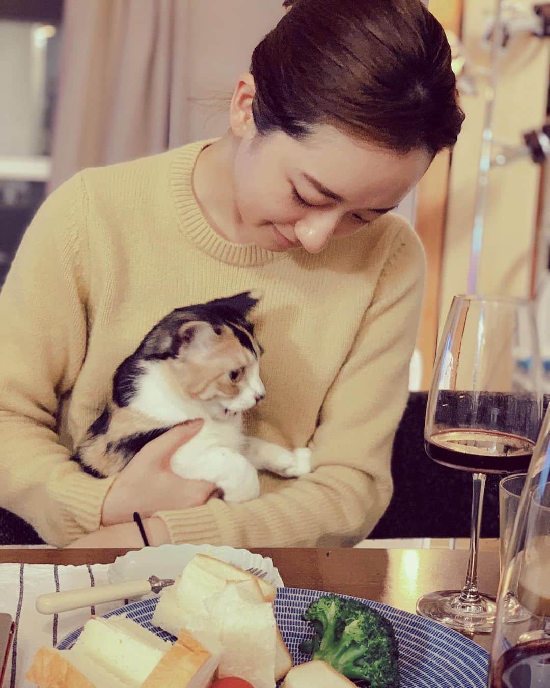 のインスタグラム：「何も言わないしあわせ。＊  #姉の猫」