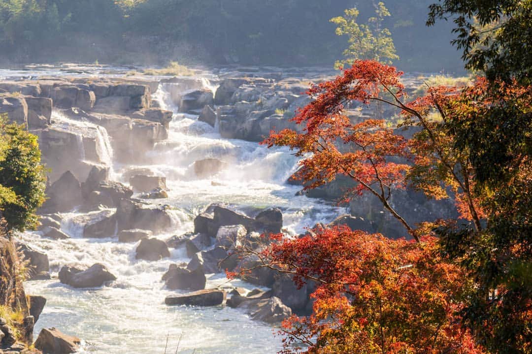 鹿児島よかもん再発見のインスタグラム：「伊佐市大口の曽木の滝公園へ(^-^)/ R2/11/14  紅葉シーズン始まりましたね🎵  曽木の滝の紅葉撮影は三度目なのですが、ようやく滝を織りまぜた写真が撮れました。。  人混みを避けて朝のうちに訪ねてきましたが、朝から皆さん来られてますねー(笑)  明日の日曜日も晴れという事で日中は混雑するかな。。  #鹿児島 #鹿児島観光 #鹿児島の紅葉  #曽木の滝 #曽木の滝公園  #伊佐市 #伊佐 #伊佐市大口  #伊佐市観光 #鹿児島の自然 #鹿児島の風景 #japan #kagoshima #kagoshimaphotograph」