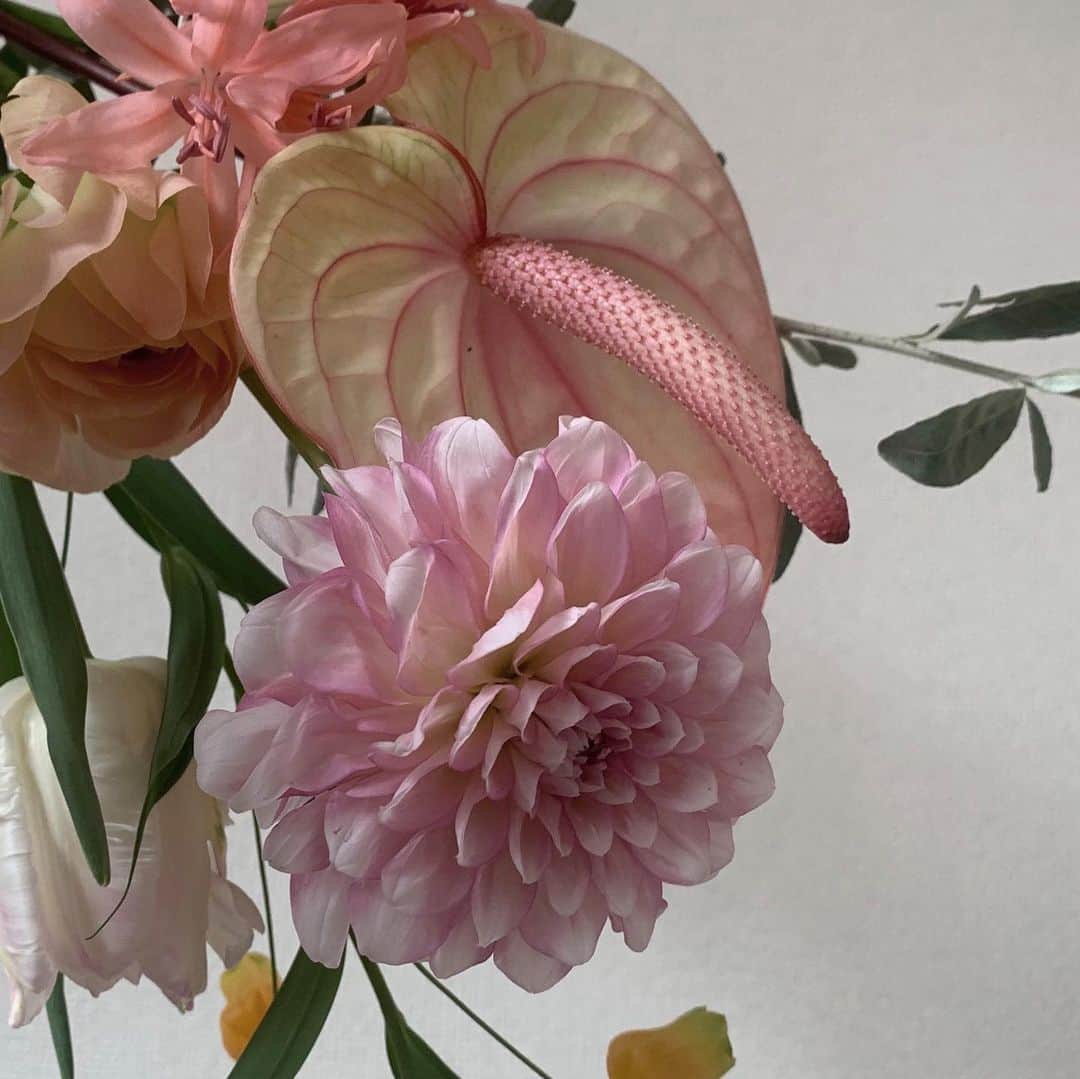 菅谷梨沙子さんのインスタグラム写真 - (菅谷梨沙子Instagram)「@whole_tokyo さんでお家用にオーダーしました💐 近くのお花屋さんではほとんど見ない珍しいお花たち。 イメージだけお伝えしただけだけど、こんな素敵に作ってもらえて嬉しい…またオーダーしよう😌 ありがとうございました！  #whole#お花のある暮らし」11月14日 20時58分 - risako_sugaya
