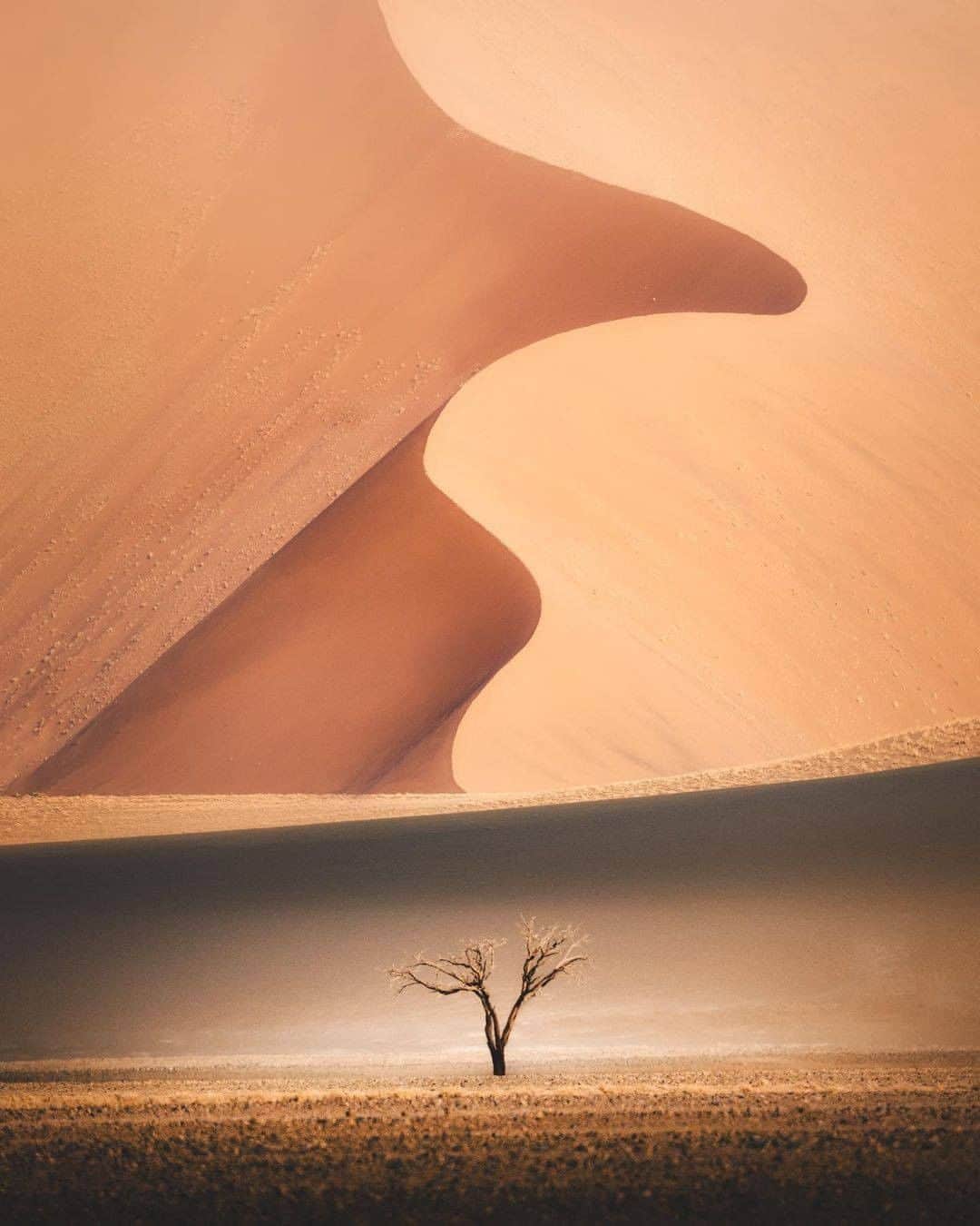 Discover Earthさんのインスタグラム写真 - (Discover EarthInstagram)「An amazing photo composition..  "Singing Sands  It’s crazy how semi abstract things can look when you zoom in. Shot this one at 600mm on the side of the road in Namibia.  Stay Adventurous Dear Friends "  #discovernamibia🇳🇦 with @karl_shakur  . . . . . #desert  #namibia  #ig_africa  #wildlifephotography  #animals  #explore  #instatravel  #visitnamibia  #love  #photooftheday  #southafrica  #namibdesert  #landscape  #wanderlust  #naturephotography  #roadtrip  #sossusvlei  #photography  #adventure  #wildlife  #travelphotography  #safari  #nature」11月14日 21時00分 - discoverearth