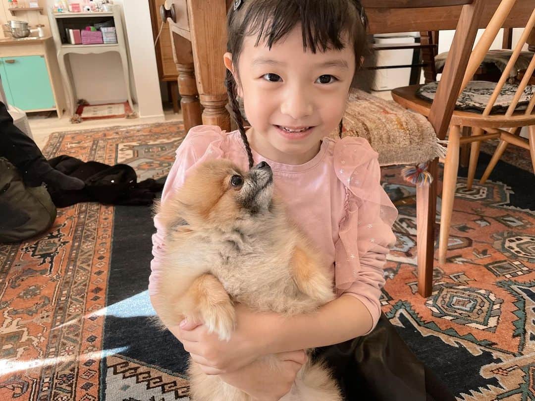 EMIのインスタグラム：「⭐︎ @tanidamami の愛犬ポンちゃん♡ 抱っこさせてくれてありがとう☺️」