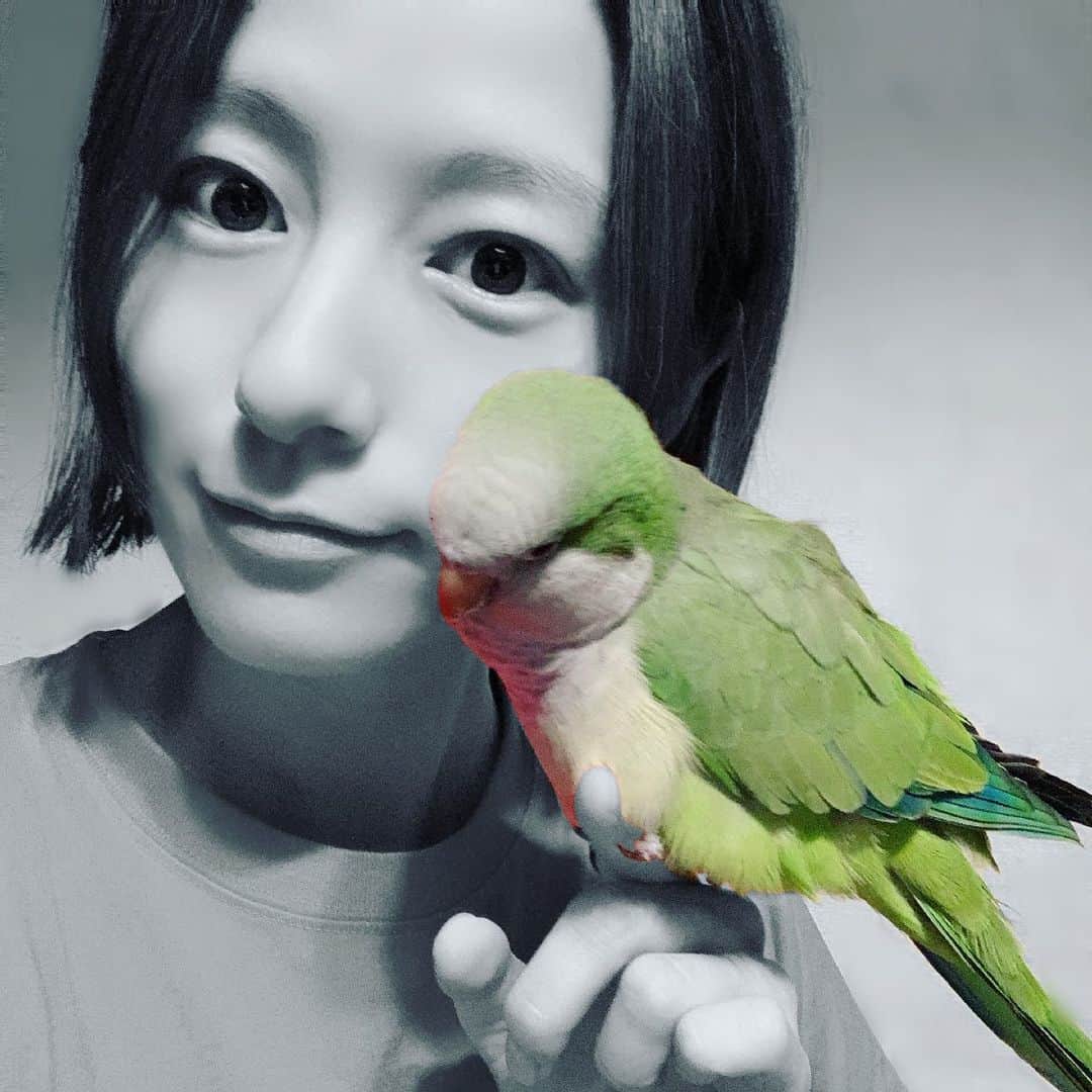 宮島咲良のインスタグラム