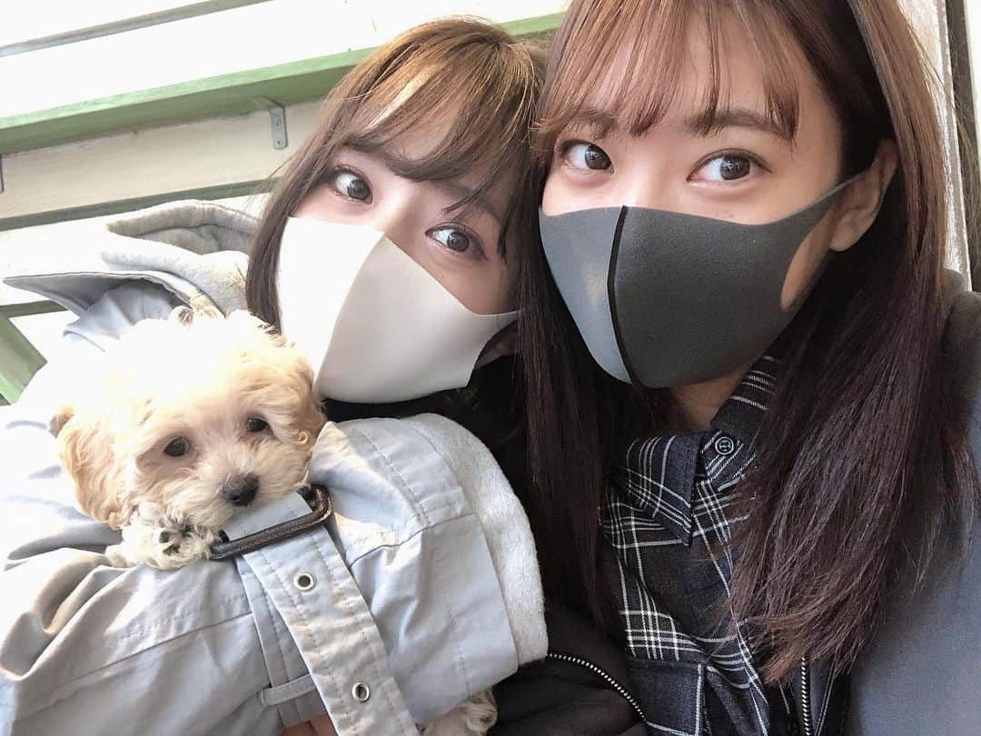 山田寿々のインスタグラム：「﻿ ﻿ 東京にいる間おばあちゃんから毎日電話かかってきます👵🏻笑﻿ ﻿ すずの事がもう心配で心配でたまらないみたいです。笑﻿ すずの事が心配でお姉ちゃんとお兄ちゃんに連絡がいきます。笑﻿ ﻿ 東京来た日にメールで、「今東京なんだね。ふれーふれーすず。」﻿ ってメール来てて可愛すぎてすぐに電話かけました📞﻿ ﻿ 昨日は電話切る時に「すず〜会いたいよ〜」って叫んでました笑﻿ ﻿ 自分からおじいちゃんに電話変わるねって言ったのに﻿ おじいちゃんに喋る隙も与えないぐらい喋ってます。笑﻿ ﻿ すずも早くおばあちゃんとおじいちゃんに会いたいよ〜🥺﻿ ﻿ 18日の舞台、配信で見てくれるらしい😻🙏﻿ 頑張らないと〜っ！﻿ ﻿ という、おばあちゃんの可愛いエピソードでした🥰﻿ ﻿ 大阪帰って落ち着いたらすぐ会いに行こーと🔥﻿ ﻿ ﻿」