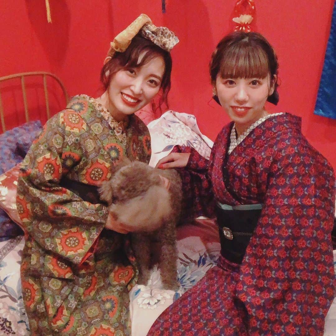 くまみきのインスタグラム：「青文字系着物スタイリストのうさこまちゃん( @usagikomachi )と念願のコラボ撮影しました🐻💛🐰﻿ ﻿ ひたすら楽しい撮影で、きっと着物好きさんにはたまらないハスハス動画になっています🤤💗﻿ ﻿ おったのしみに〜🥰🥰🥰！﻿ ﻿ #着物コーディネート #着物コーデ #着物 #きもの #kimono  #着物女子 #kimonostyle #kimonofashion #japanesekimono #おうち着物」