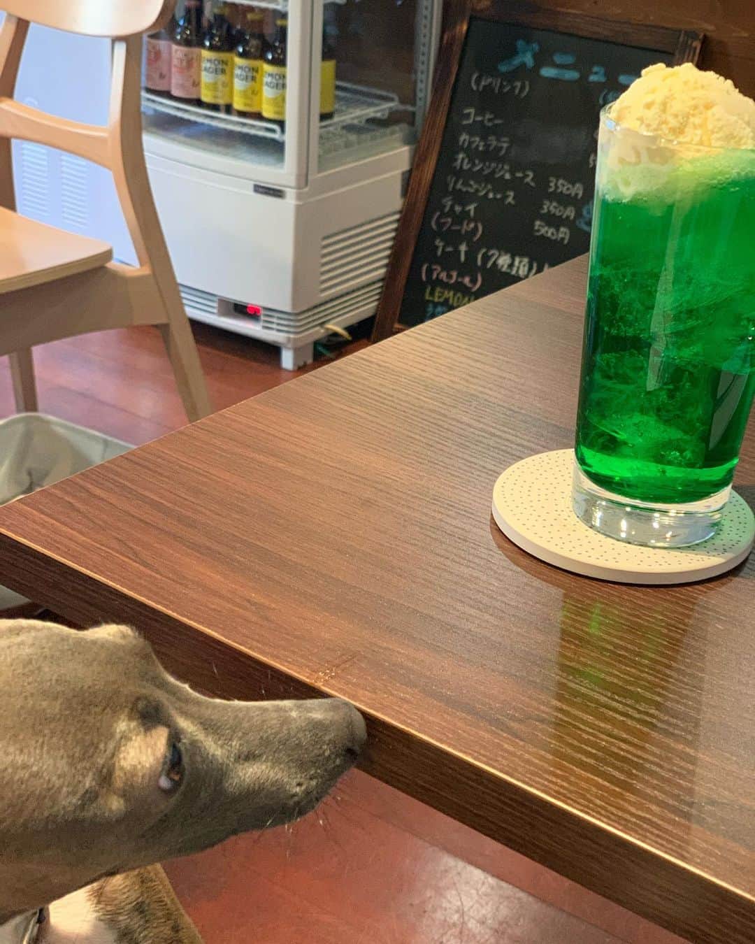 のインスタグラム：「メロンソーダではなく、クリームソーダだった🤭 まずふた口ぐらいメロンソーダを飲み炭酸を味わってから、アイスを溶かしつつちょびちょび飲むが好きな飲み方です🍈」