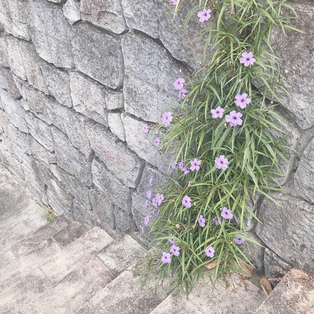 安村真奈のインスタグラム：「・ 今日でキラチャレ2015で賞を頂いて5年でした。﻿ なにをしても続ける事が出来ない私が ここまで続けてこれたのは﻿、いつも私の事を大切にしてくれてる皆さんのおかげです！﻿ どんな私も肯定してくれる皆んなが大好きです🤍﻿ いつもありがとう☺️！﻿ あの時チャレンジしてなかったら 皆んなに出会えてなかったって考えると﻿ やっぱりチャレンジする事は大切な事だなと感じます。﻿ 思うようにいかない事もたくさんあるけど﻿ 自分を大切に毎日頑張ろうね^ ^」