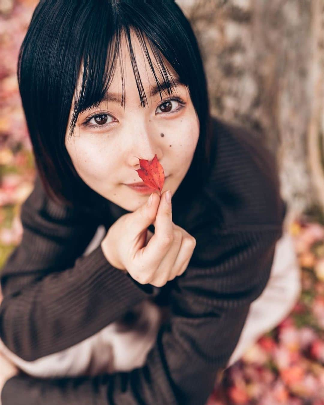 志茂彩奈さんのインスタグラム写真 - (志茂彩奈Instagram)「秋を満喫してきた　part3🍁  この時はまだ日差しで暖かったのですが夜にはもう凍えてしまいました🥶  みなさんこれからどんどん寒くなってきますので暖かく、 体調管理しっかりしてください🤧  私もファイナルまでに体調崩さないようにしっかり寝ようと 思います😴笑  web投票終了まであと7日！ まだ投票してない方は本日分の投票よろしくお願いします😊✨ ・ ・ #ミスキャンパス同志社2020  #ミス同女 #ファイナリスト #ミスキャンパス #しもぽち #秋#紅葉#ポートレート#撮影#ファインダー越しの私の世界#幸せな瞬間をもっと世界に#その瞬間に物語を」11月14日 22時50分 - nayaas___