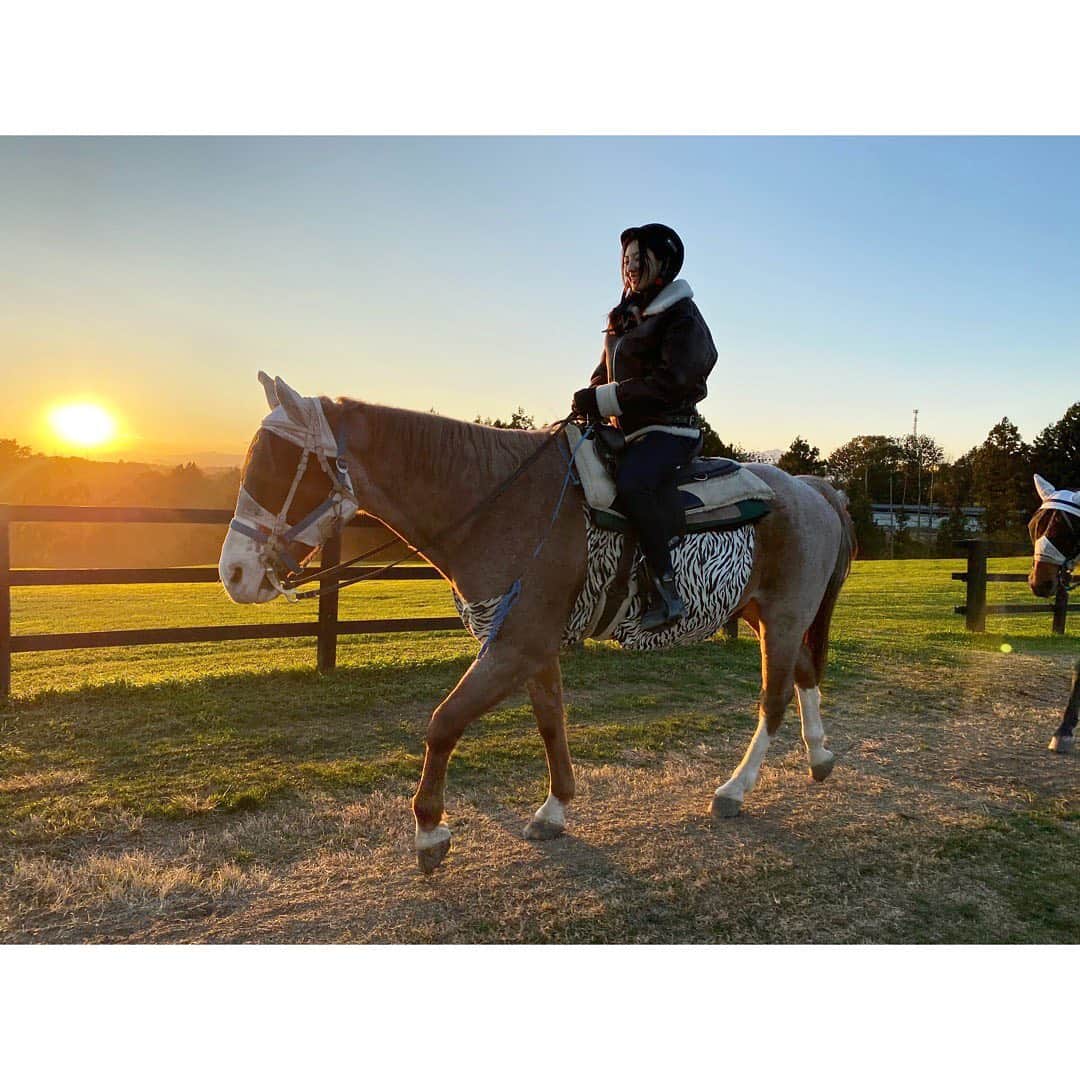 福井セリナのグルメインスタ