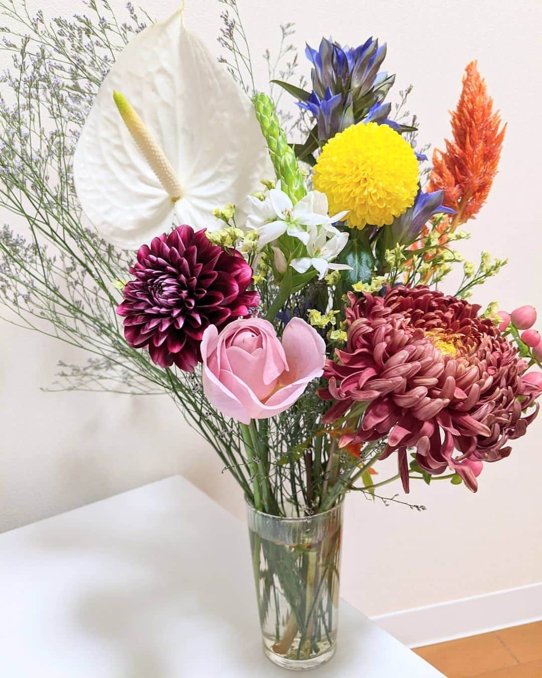 久保円華さんのインスタグラム写真 - (久保円華Instagram)「家が賑やかです。﻿ 人を招かず花を招いています。﻿ ２枚とも今家にいるお花たちです。﻿ ﻿ 組み合わせをほとんど考えずひたすら一本ずつ好みの🌼を選ぶので、家に帰ってからが😵﻿ でもみんな連れて帰りたい😂﻿ ﻿ ﻿ ﻿ #オオニソガラム #オオニソガラムマウントフジ #リンドウ #八千代ケイトウ #アナスタシアダークライム #ノーマンサニー #ヒペリカム #リモニウム #久保円華 #華﻿」11月14日 23時07分 - kubo_madoka