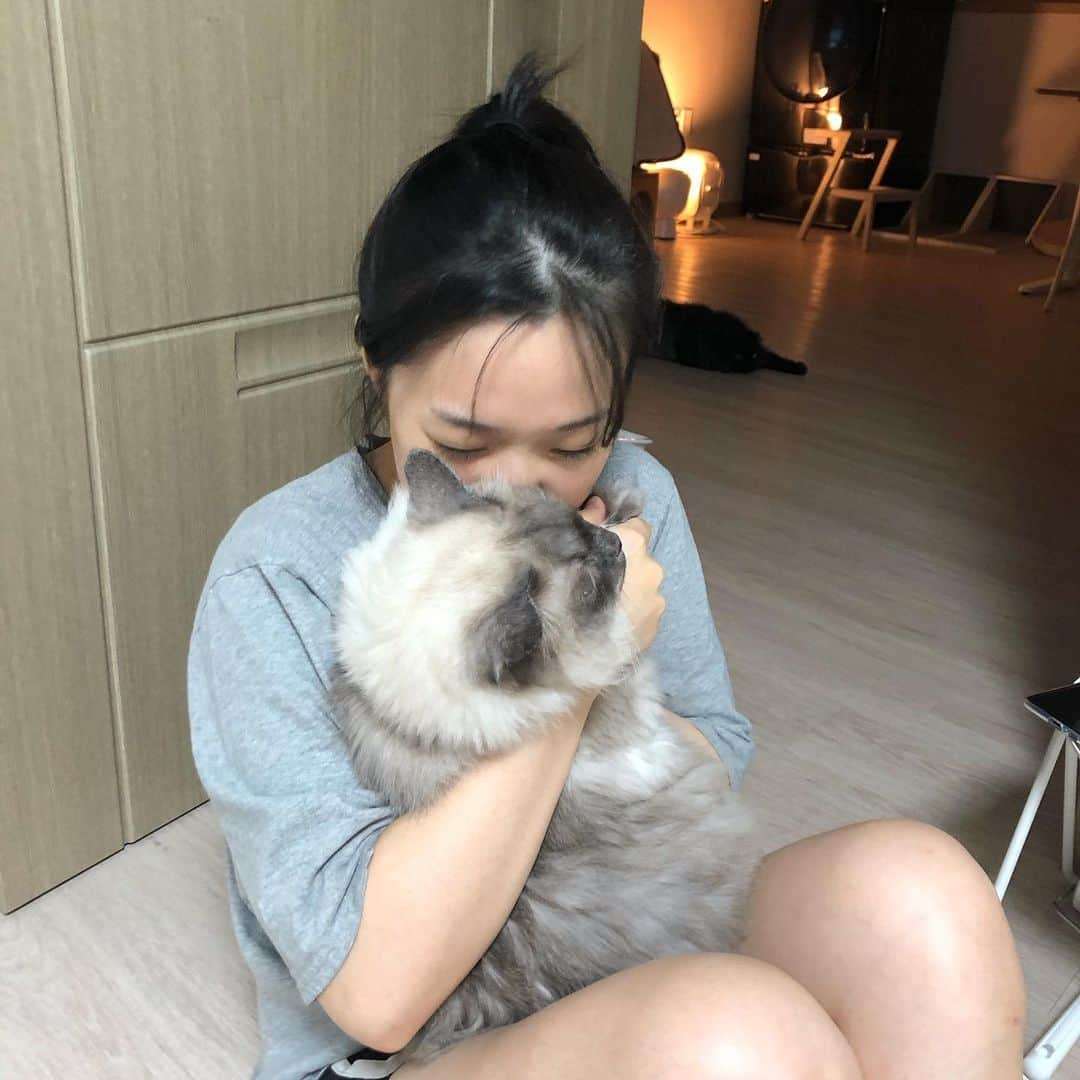 ギモさんのインスタグラム写真 - (ギモInstagram)「서울에서 오랜만에 칭구덜이 왔어요. 원래 고향이 대전인  @yoohoooii 는 오늘 친구 결혼식이 있어서 대전에 왔다가 겸사겸사 저도 만나고 즈이집에서 1박을 하게 됐어요ㅋ 내친김에 서울칭구 @gemm_eow 까지 불러서 함께 놀다가기로!! 오늘 성심당 신메뉴 초코메아리도 먹구 최애 시월의무화과도 먹구 대전인의 가이드로  #대선칼국수 에서 칼국수와 오징어두부두루치기 먹고 마무리는 예스예스 치킨으로 화려하게 장식ㅋㅋ 서울 사는 대전인은 장난감으로 쨔매를 꼬신뒤 실컷 안아보고 무척 행복해했어요🤤❣️ 오늘 이모들이 엄청 많이 놀아줘서 애덜도 너무 행복해함!!ㅋ #cat #토토상회 #이모상봉 #쨔매쨔부」11月14日 23時03分 - 1room1cat