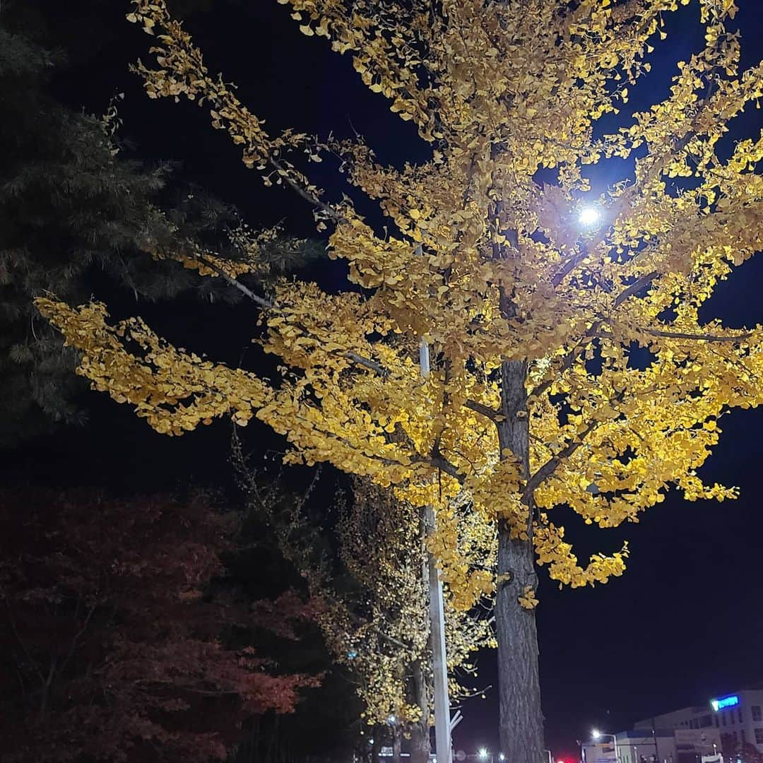 ソヒョンさんのインスタグラム写真 - (ソヒョンInstagram)「One last time🍁」11月14日 23時09分 - seojuhyun_s