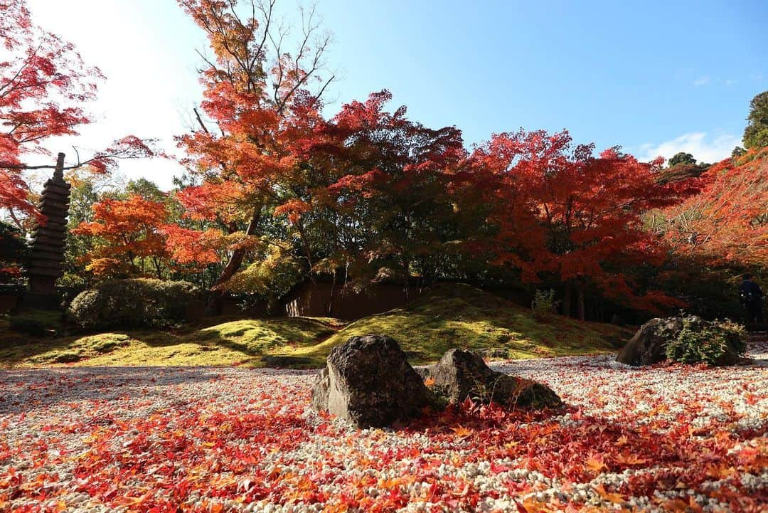 三浦絵里菜さんのインスタグラム写真 - (三浦絵里菜Instagram)「11月13日　午前中ちょぴっと松島ぷらりしてきた🍁 今年は夜のライトアップがないみたいだけど、昼間の紅葉もとても良きだったー☺️✨  海も綺麗だったし、晴れてよかったなー☀️  #円通院  #松島  #紅葉シーズン」11月14日 23時22分 - 7eri