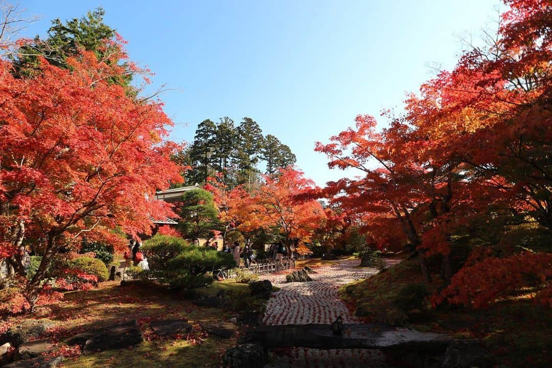 三浦絵里菜さんのインスタグラム写真 - (三浦絵里菜Instagram)「11月13日　午前中ちょぴっと松島ぷらりしてきた🍁 今年は夜のライトアップがないみたいだけど、昼間の紅葉もとても良きだったー☺️✨  海も綺麗だったし、晴れてよかったなー☀️  #円通院  #松島  #紅葉シーズン」11月14日 23時22分 - 7eri