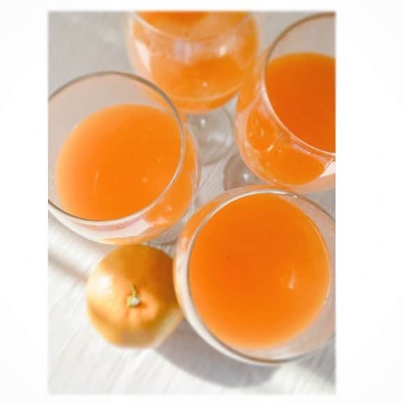 前田ゆかのインスタグラム：「熊本から、親戚が作ったみかん🍊を たくさん送ってくれたので今朝はジュースに！  ニンジン、みかん、ちょっと生姜を入れて冬の風邪予防🙆‍♀️😌  #みかん  #熊本 #ジュース #風邪予防 #みかん🍊ジュース  #低速ジューサージュース #冷えやすい身体を #生姜であたため #冬のパワーチャージ」