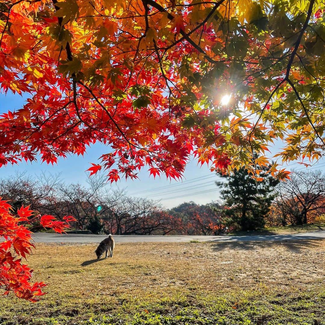 Naomiのインスタグラム：「Good morning!  #iphone12pro #ycdなんくる倶楽部出身」