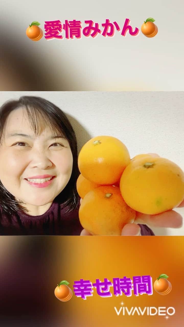 まんまるともぴーのインスタグラム：「秋から冬の季節になると 恋しくなるのが 『こたつにみかん🍊』  ４泊５日の関東旅行から 戻ってわが家に帰宅すると ホッとして 最初に手が伸びたのは  甘みと酸味が絶妙で ひとつ食べたら  『やめられない 止まらない』  なくてはならない 冬季の恋人😻❤️（笑）  毎日LOVE💓ラブ ずっとそばにいてね💞🍊💞  気づくと５個目に 手が伸びてしまっている😁💓✨ あっという間に 完食しちゃう早生みかん🍊  こんな美味しいみかんの 生まれ故郷は  🍊みかんの聖地 和歌山県 有田郡有田川町  『有田みかん🍊』  🍊みかんのみっちゃん農園🍊  @mikan_no_mitchan   食べるの大好きまんまるさんは 🍊みかんにだってこだわります🤗✨  甘くて美味しいのは 絶対ハズせないポイント✨ 何個食べても ずっと美味しく  美味しさと共に 断然気になるポイントは 農家さんの想いやこだわり 👨‍🌾👩‍🌾  🍊みかんを届ける 箱📦にまでぎっしりこだわり  箱の上面には 世界中の人々と みっちゃん農園が 🍊みかんで繋がる  【イッツアスモールワールド精神】  が描かれています😀💓  側面や中面全てに みっちゃん農園の コンセプトやビジョンが しっかり描かれていて  美味しいみかん🍊を 作ってくださる生産者さんと その想いを受け取り  美味しく味わいながら 大好きなお友達や お世話になってる方にも どんどん幸せのお裾分け💕 🍊みかんの輪を広げたい❣️  どこも同じではない 素敵なみかん農園🍊  【みかんのみっちゃん農園】  @mikan_no_mitchan   たくさんの人に 知って欲しいなぁ☺️❤️  水やお花に 感謝やポジティブな 言葉をかけると 通常よりも長く綺麗に お花が咲いたり  結晶化したりすると 言われていますが  雨や風の強い日も 来る日もくる日も 毎日ずっと丹精・愛情こめて 我が子のようにお世話され  可愛がられて育てられた 🍊みかんのみっちゃん農園🍊のみかんは  低農薬・減農薬で 無農薬生産に近く 果皮まで使える安心素材✨  お風呂上がり♨️ お食事後のデザートや お弁当のお供はモチロン  お菓子やパフェ ケーキ作りにも たっぷり🍊が使えます🤗💓  １１月のお楽しみ💕 【🍊早生（わせ）みかん🍊】  コクがあり酸味と甘味の 絶妙なバランスが楽しめ 皮と袋が薄くて食べやすい  みかん好きさんに 大満足いただける 幸せなみかん🍊  大切なあの方へ お届けしたくなるみかんです 🍊🍊🍊  １２月は 【中生みかん🍊】 甘さにコクが出た 深みのある味で お歳暮に最適なみかん🍊  １月は 【晩生みかん🍊】 皮と袋に少し厚みが増し 日持ちするのが特徴の 濃厚な甘味・コクのあるみかん🍊  @mikan_no_mitchan   🍊みかんのみっちゃん農園🍊 では、１年を通して 柑橘類を生産されており  デコポン・いよかん ネーブルオレンジ 清見オレンジ せとか・はるか  夏みかん 甘夏 バレンシアオレンジ グリーンレモン🍋  など、60種にも及ぶ 美味しい柑橘類を 扱われていますので  年中無休で爽やかな 柑橘の甘酸っぱい 癒しの香りもお楽しみくださいね☺️💕  🍊🍊🍊🍊🍊🍊🍊🍊🍊  【みかんのみっちゃん農園】  @mikan_no_mitchan   和歌山有田みかん他 60種生産される 6代目みかんのみっちゃんは  《人と人との繋がり》 を大切にし 『笑顔、幸せ、感謝、未来』を創造する 農園を経営されています☺️✨  《無農薬、減農薬、食味》 にこだわった 生産をされており  農園直送で 🍊新鮮なみかん🍊 が食べられます😀💓  生産者の想いが伝わり 生産者のお顔も拝見でき 心が暖まるみかんです🍊😉🍊  🍊お子さまのおやつや ご家族での団欒に🍊  ビタミン・ミネラル 食物繊維がたっぷりなので 女性の美容に🍊  🍊ファミリーでの健康サポートに  美味しさと生産者の想いと こだわりがいっぱい詰まっ  【🍊みかんのみっちゃん農園🍊】 有田みかん🍊  気になる方はぜ是非ゼヒ 🍊みかんのみっちゃん🍊  @mikan_no_mitchan  までDM📩してみて くださいね😉💕  『まんまるともぴーの 投稿を見た』 と伝えてもらえたら 良いことあるかもです😆❣️  #みかん #蜜柑 #有田みかん #みかん大好き  #みかん狩り  #みかん農家  #みかんのみっちゃん  #柑橘  #柑橘類 #レモン #檸檬 #オレンジ #フルーツ  #フルーツパフェ  #フルーツ好き  #ビタミンc   #和歌山 #和歌山県  #和歌山グルメ  #和歌山旅行  #有田市   #お取り寄せ #お取り寄せスイーツ  #お取り寄せグルメ  #お歳暮 #贈り物 #プレゼント #おみやげ  #お土産」